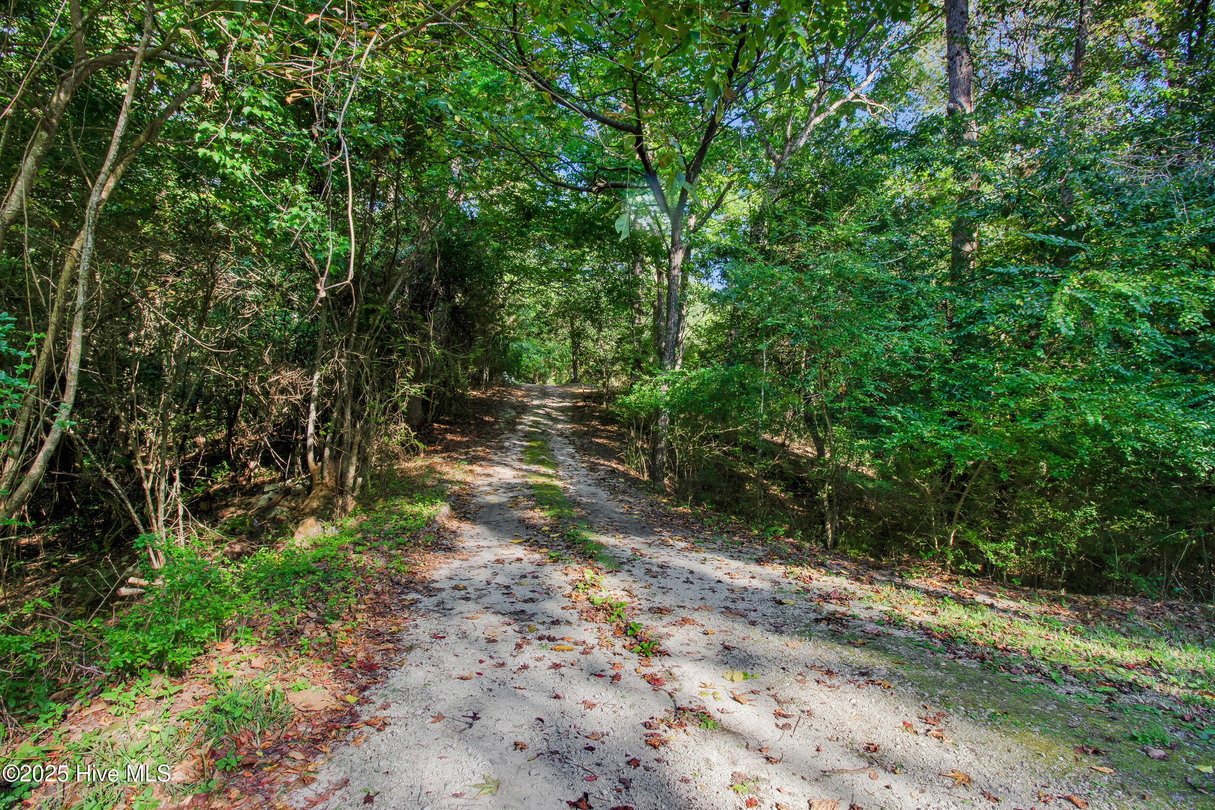 100535721 | Photo 25