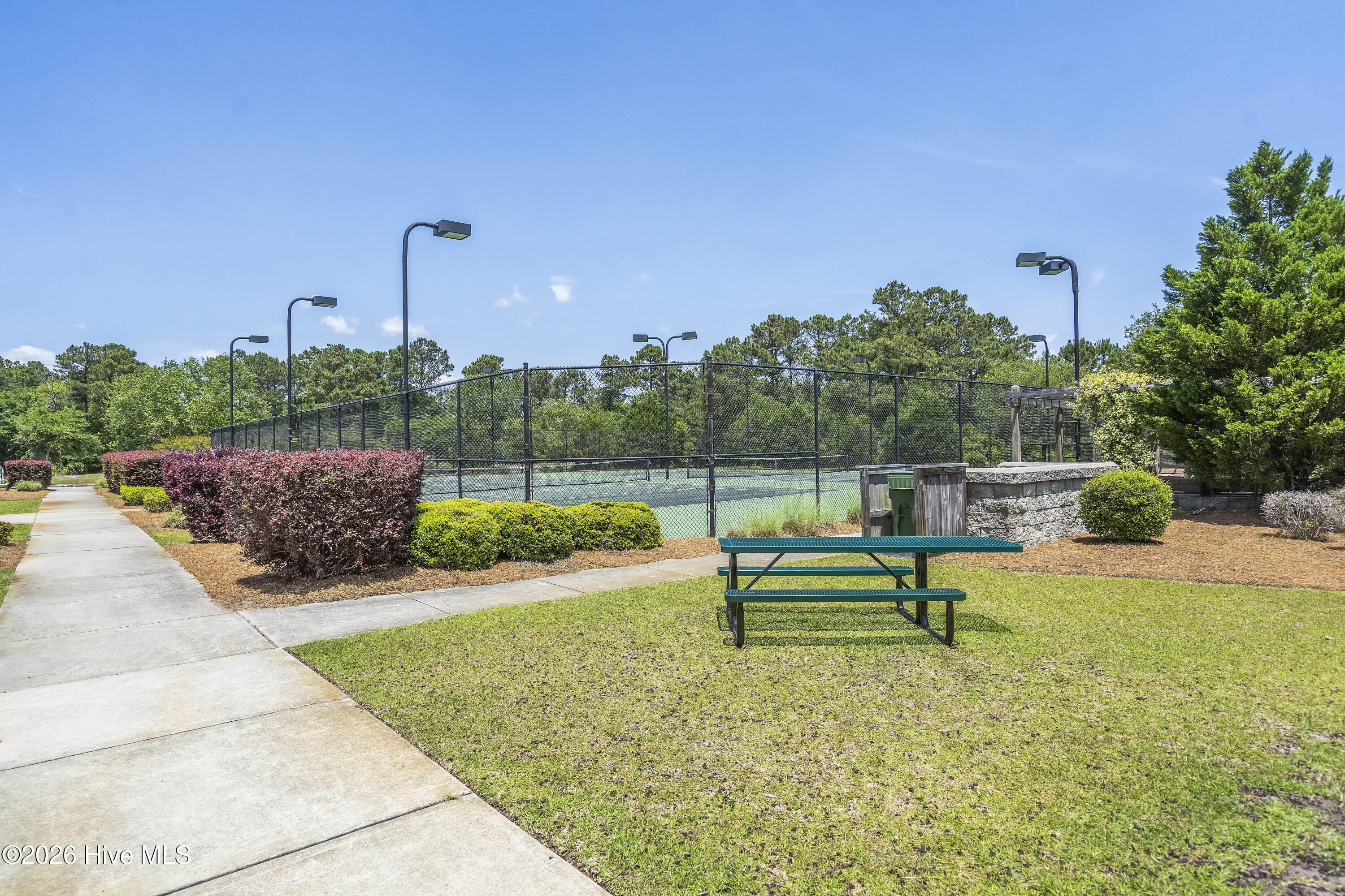 100562110 | Photo 116