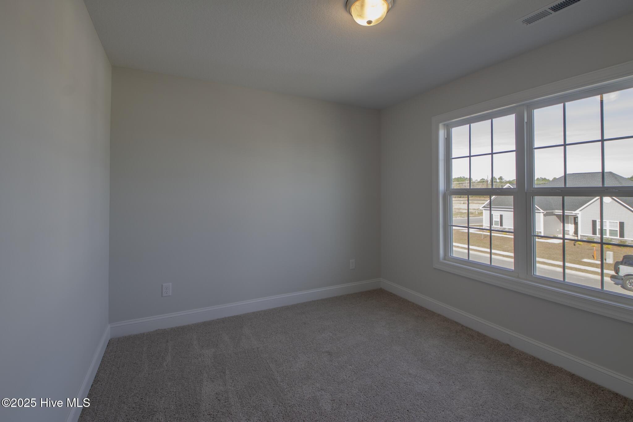 100505721 | Photo 19