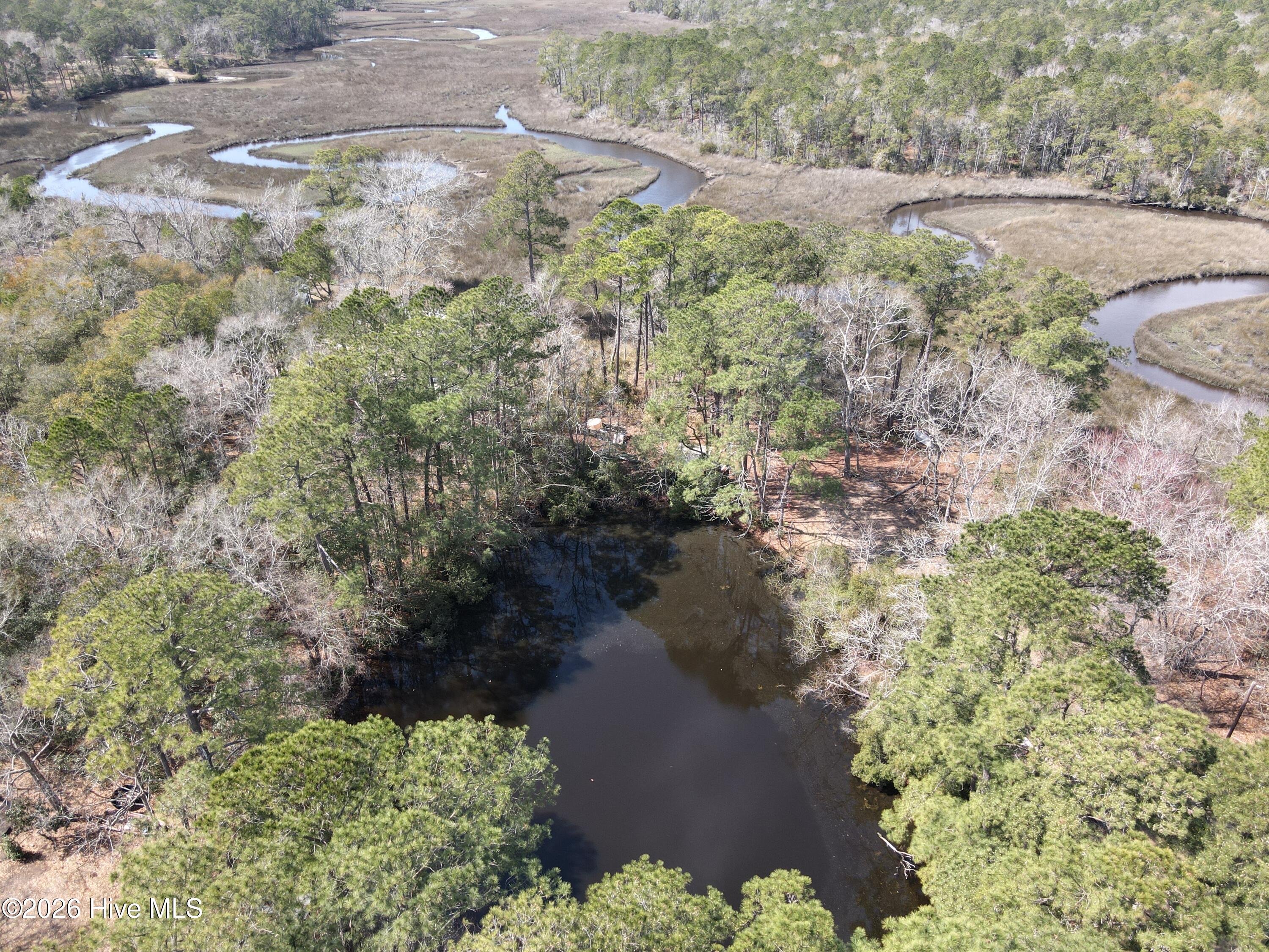 100543289 | Photo 59