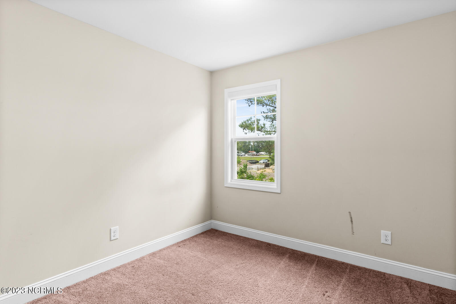 100552237 | Photo 23