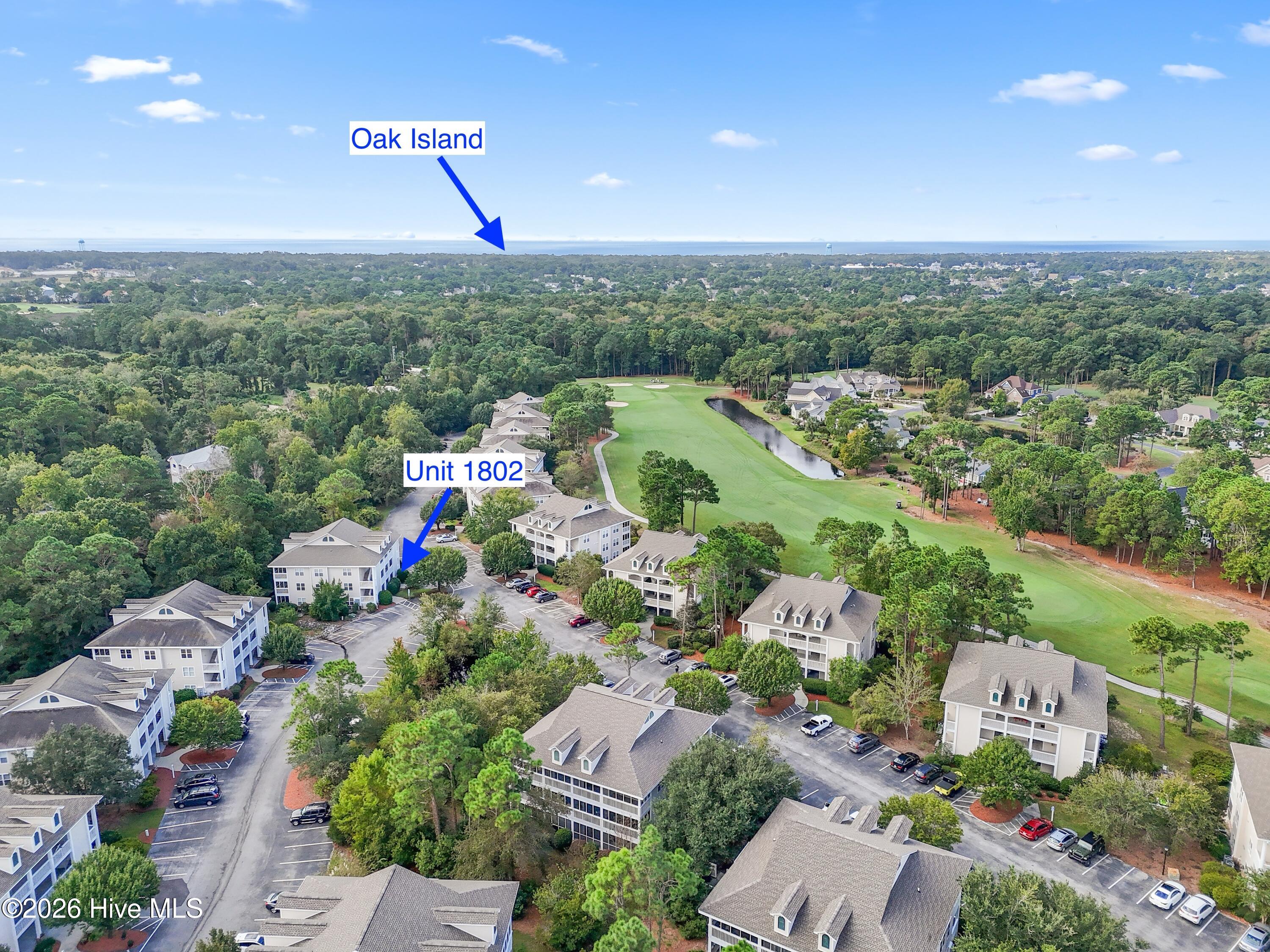 100550603 | Photo 41