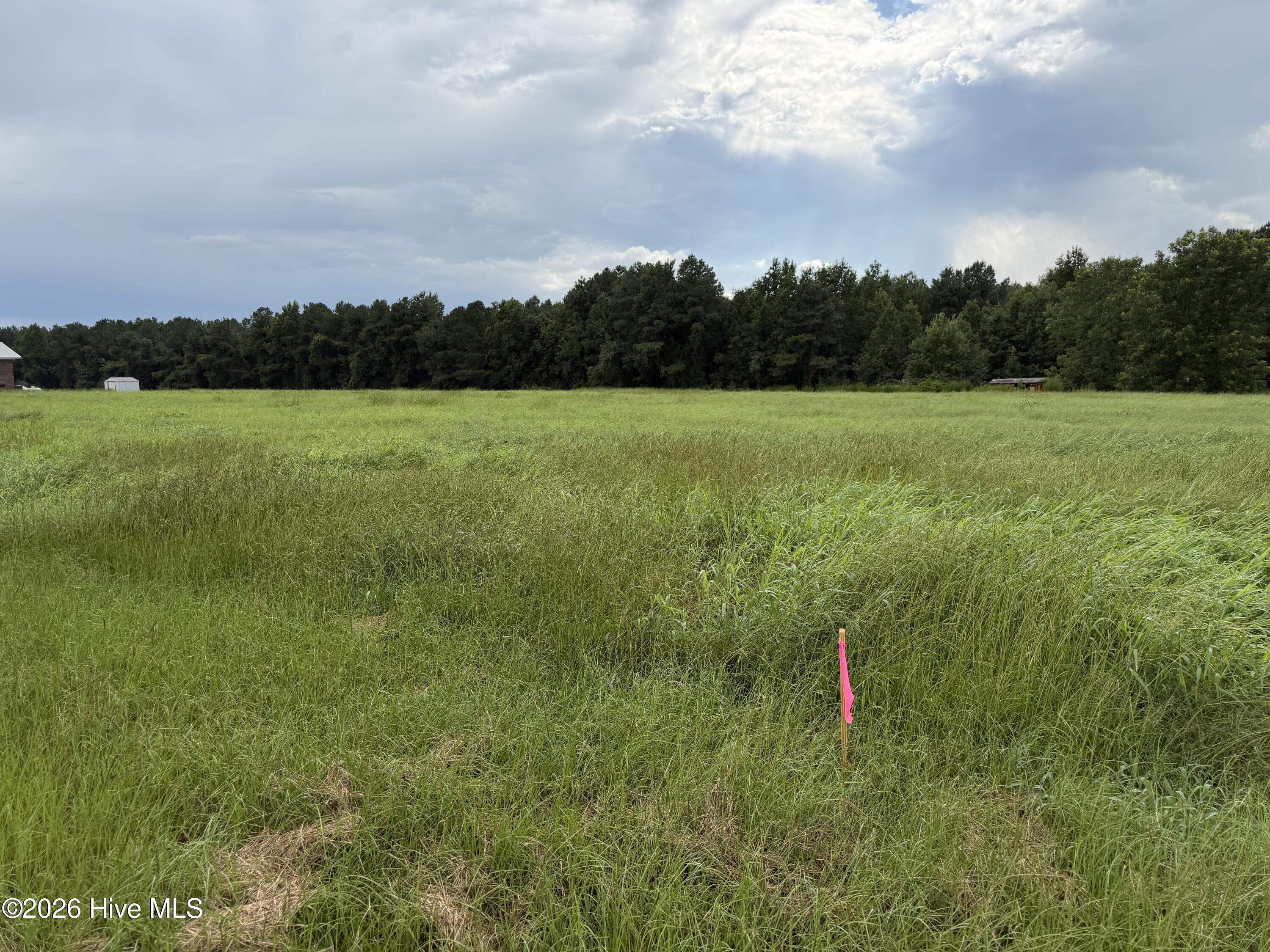 2nd image of 0 Mills Rd, Goldsboro, NC 27530 | MLS# 100596094