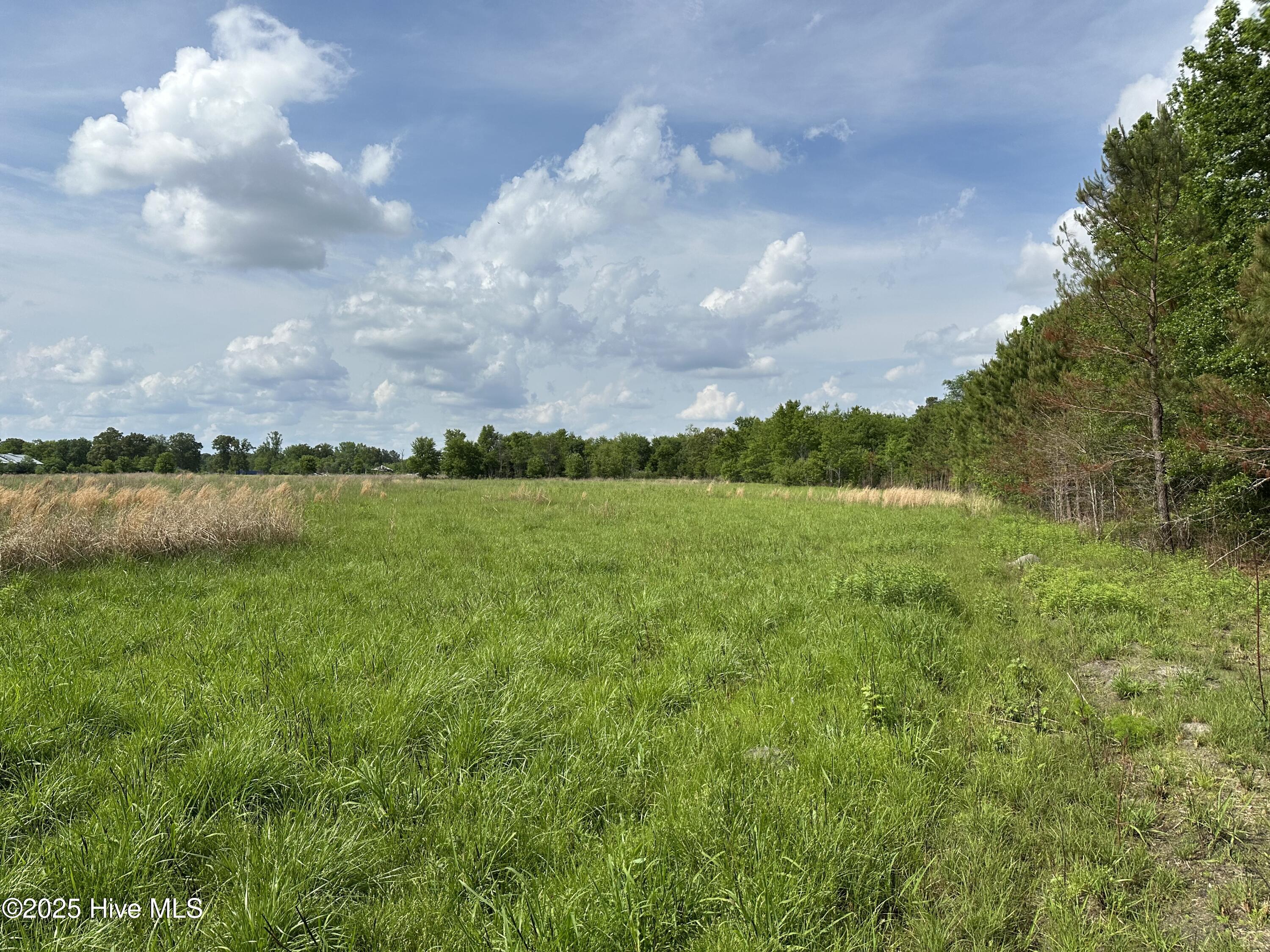 Photo 5 of Land for sale at Tract 2 Mcgirt Rd, Maxton, NC 28364 | MLS# 100601006 | Listing updated on 2026-09-03