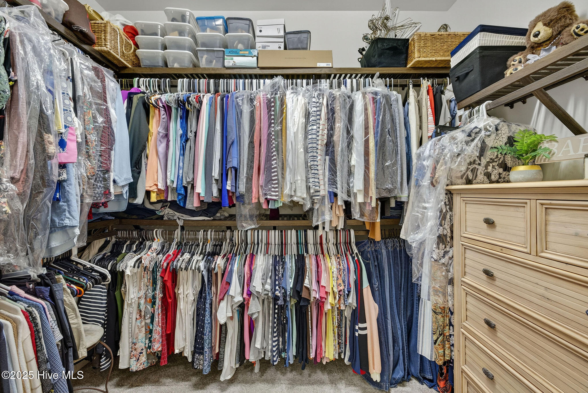 100538895 | Photo 26