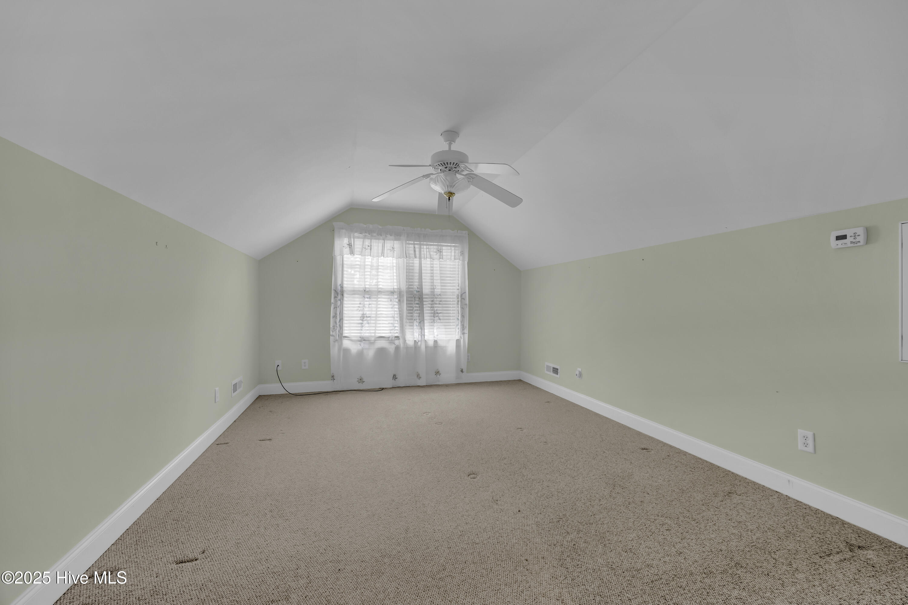 100530191 | Photo 24