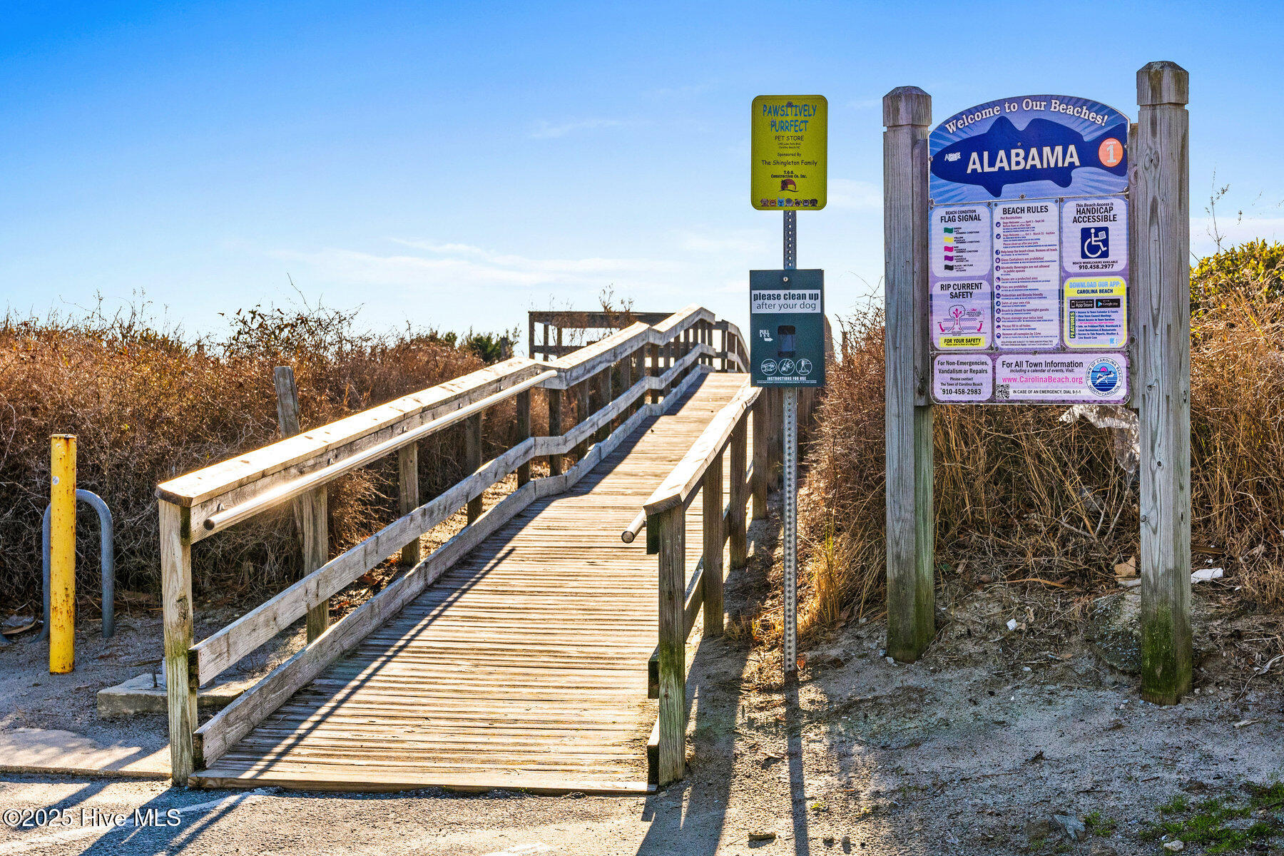 100557763 | Photo 35