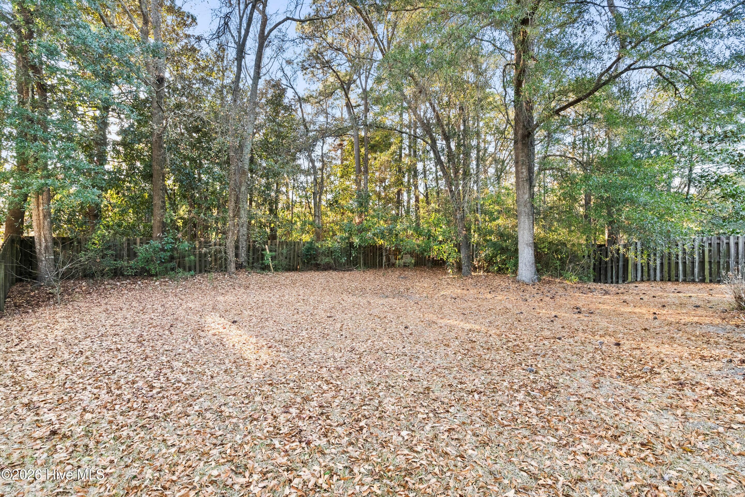 100549655 | Photo 47