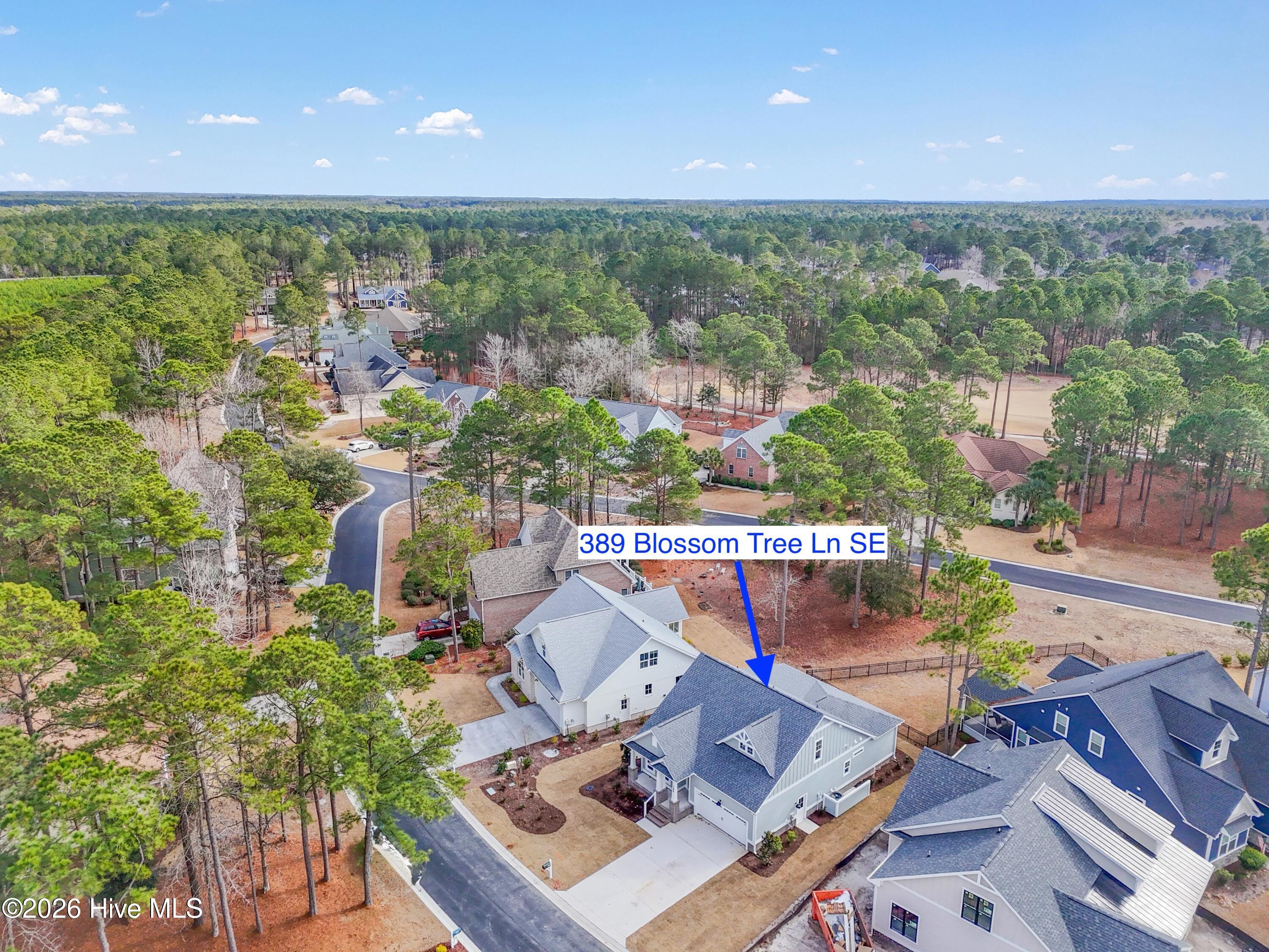 100533287 | Photo 37