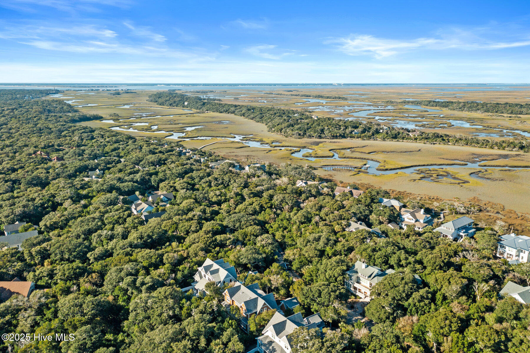 100401243 | Photo 95