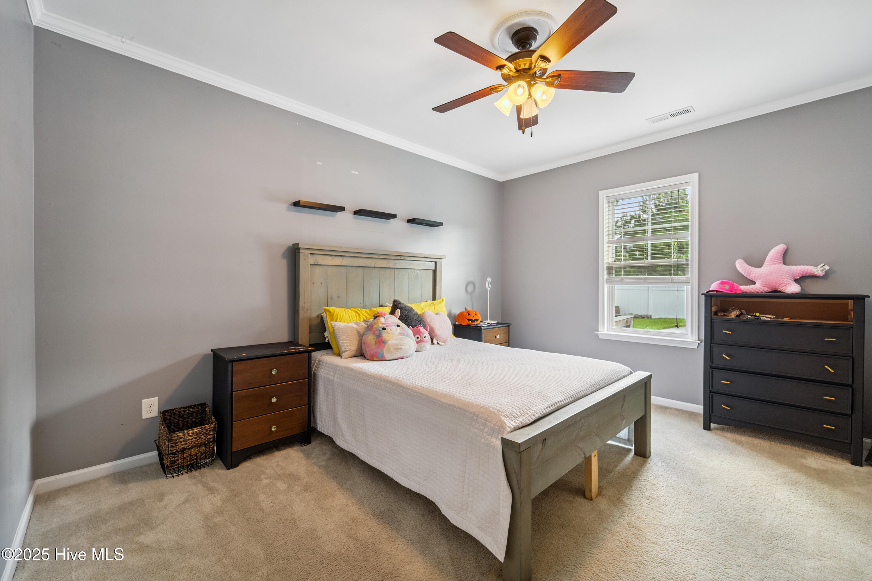 100516932 | Photo 38