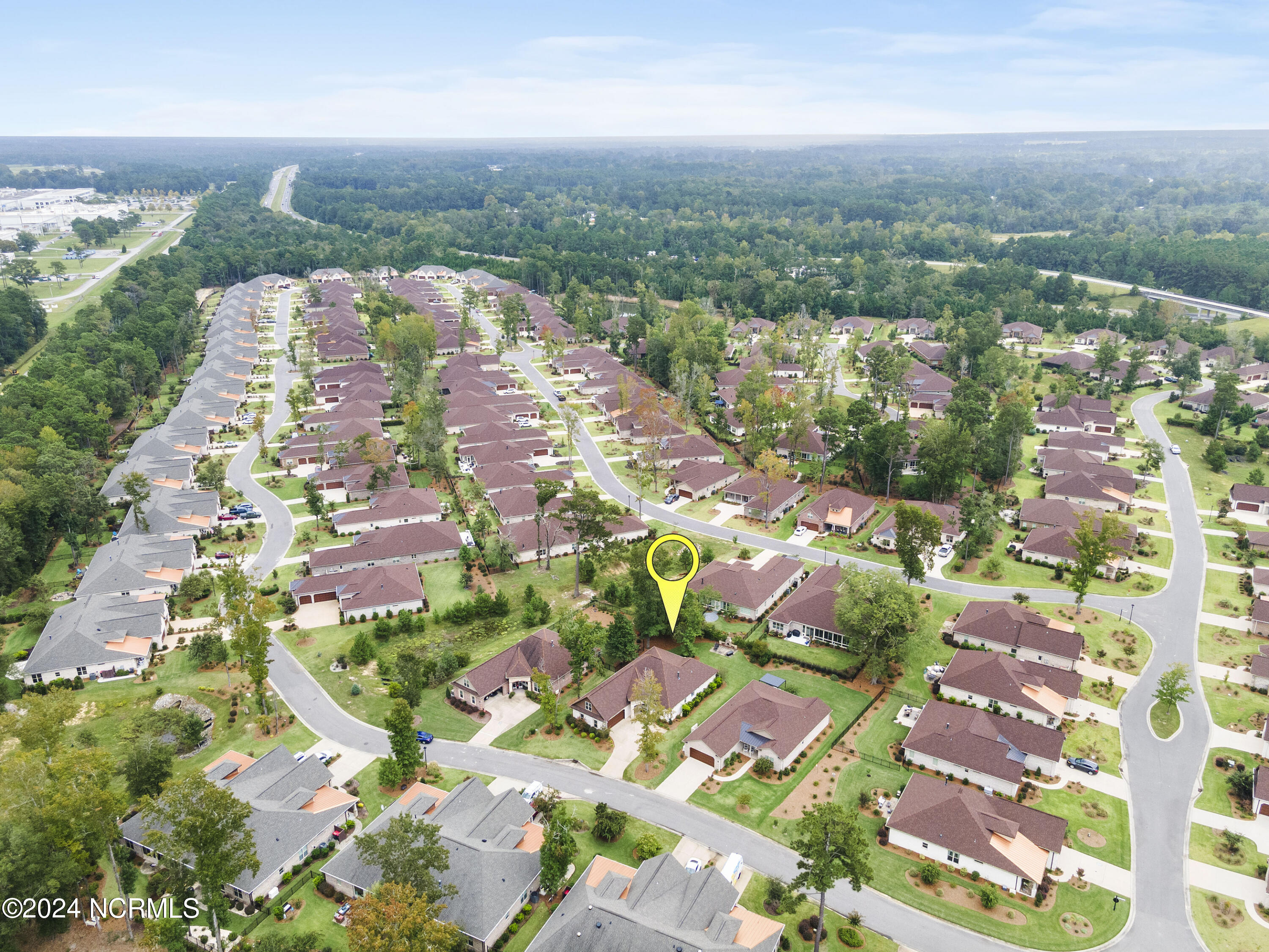 100554009 | Photo 45