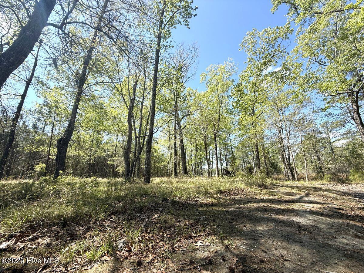 Lot 48 Sunset Point, Belhaven, NC, 27810