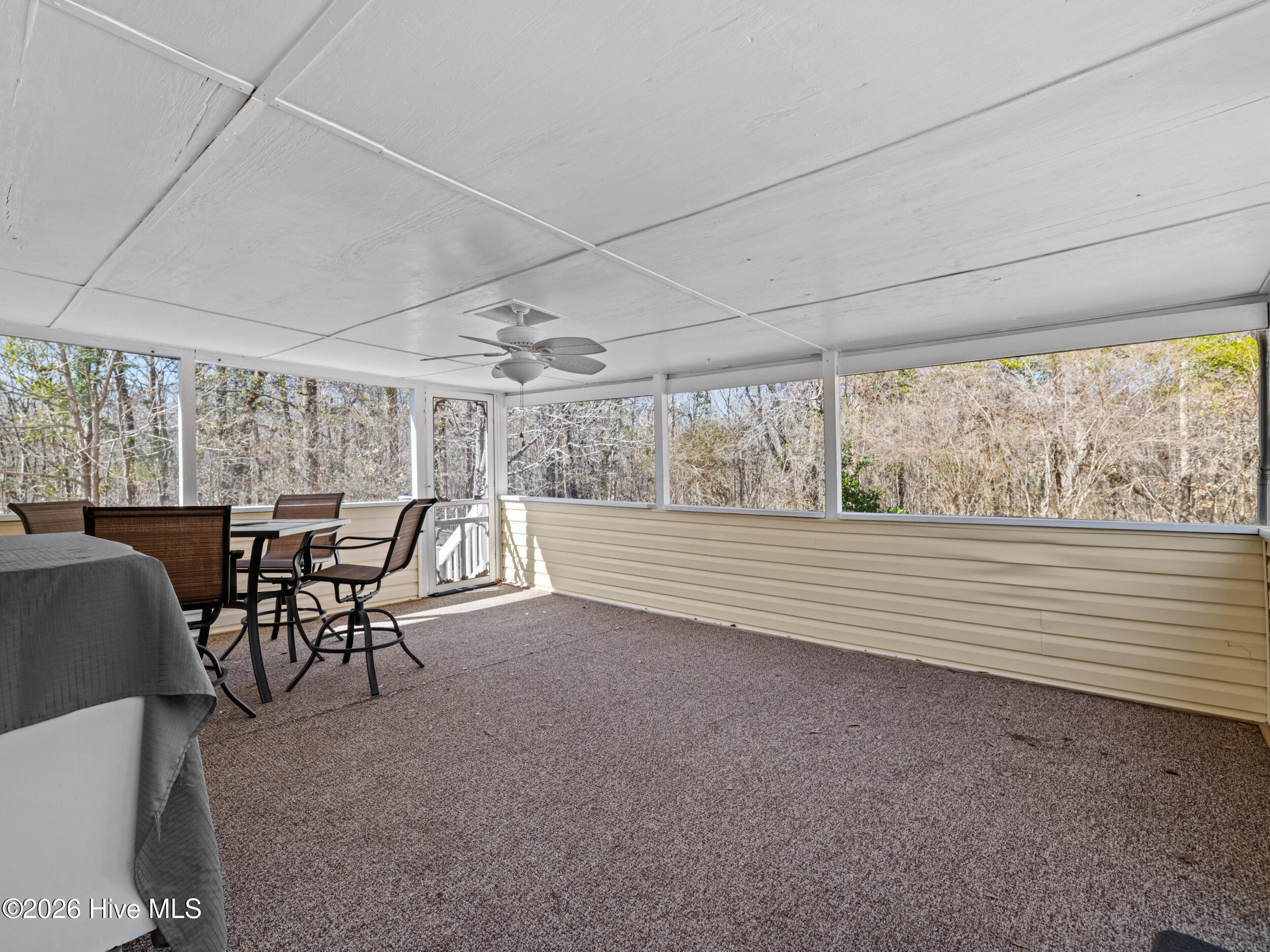 100556387 | Photo 42