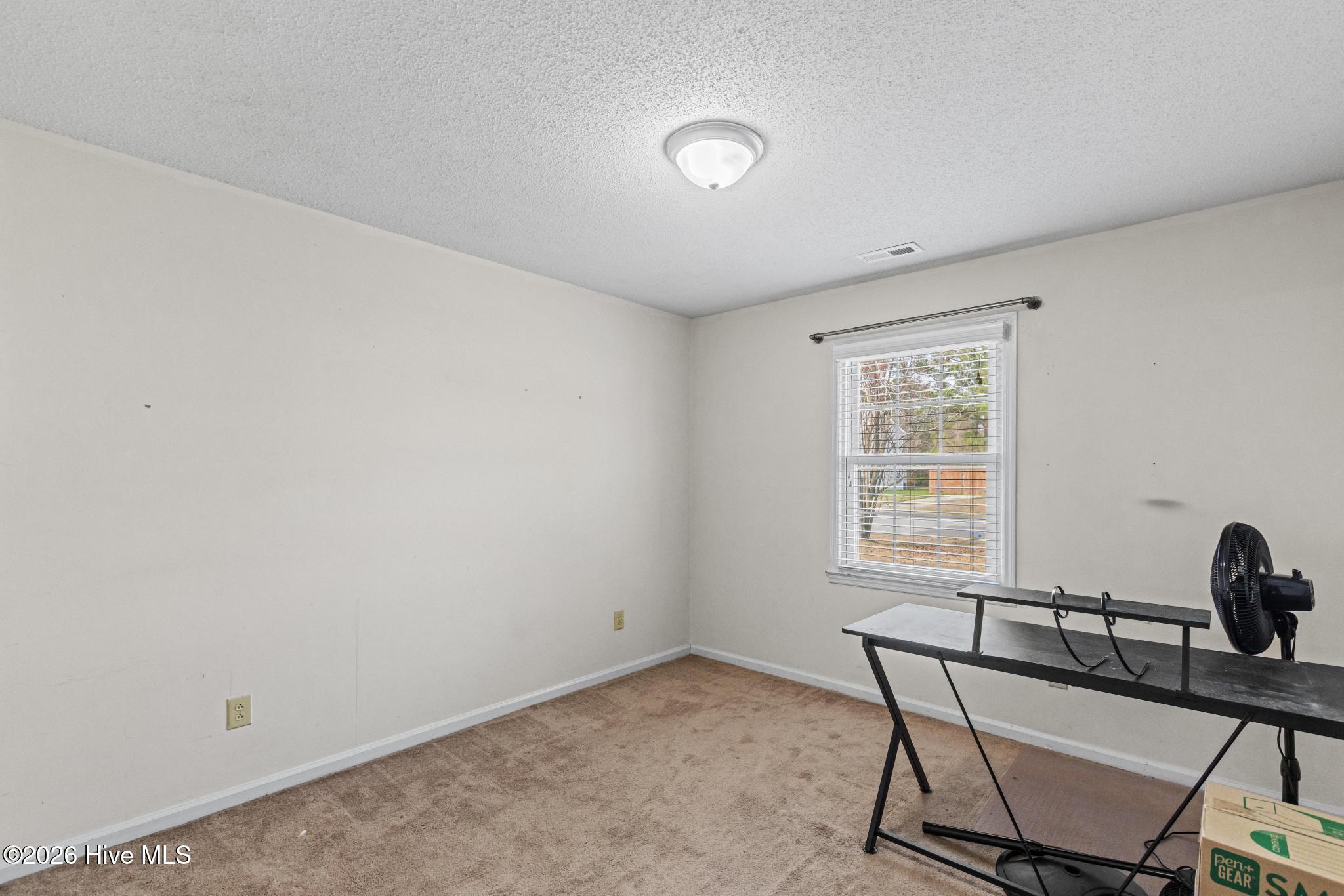 100558946 | Photo 12