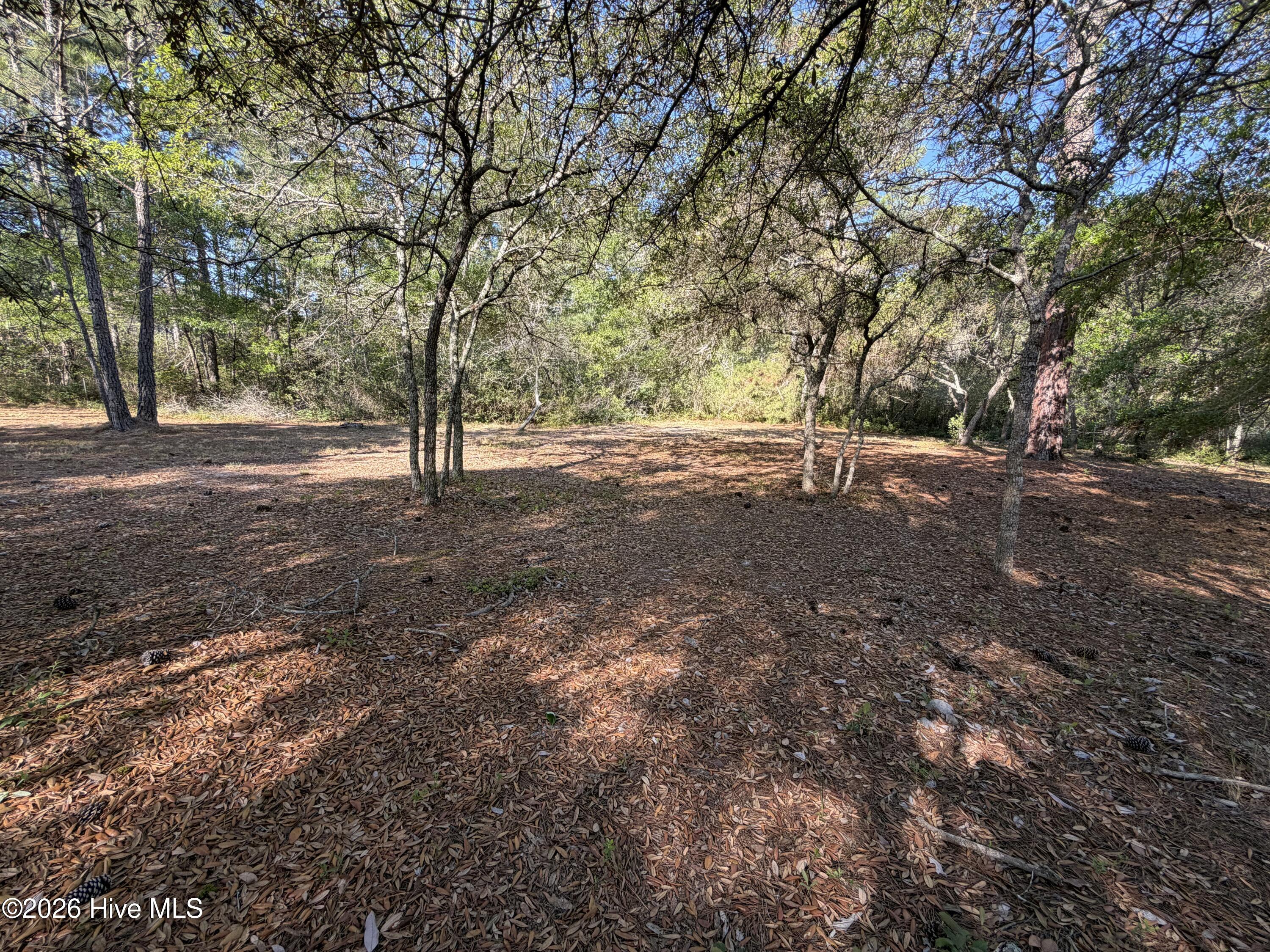 100569974 | Photo 15