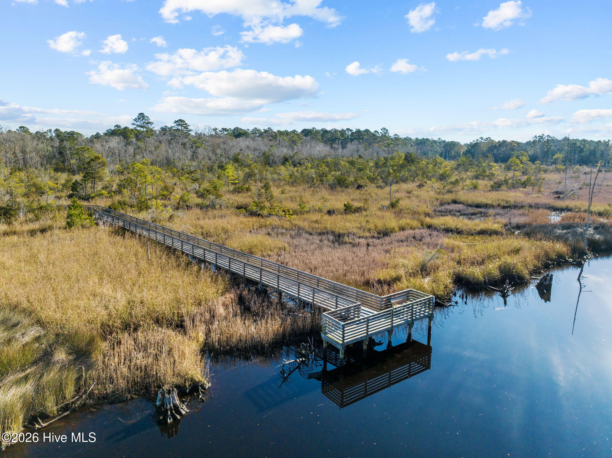 100563731 | Photo 75