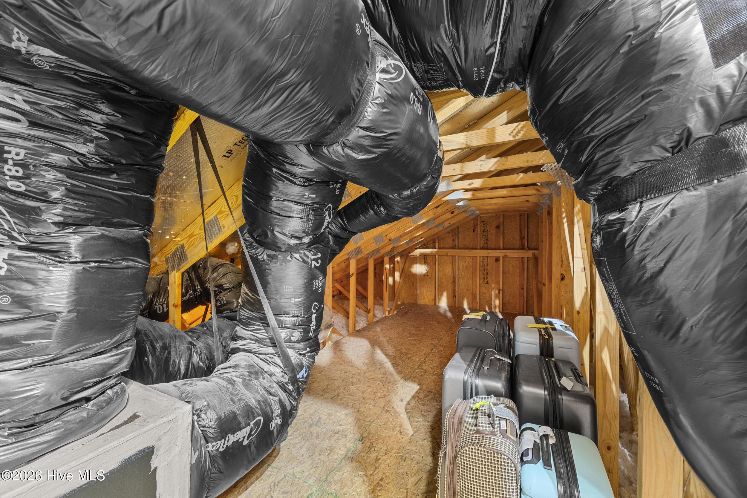 100564447 | Photo 65