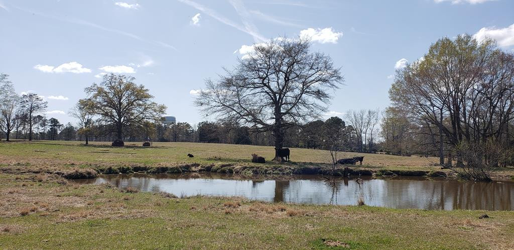 Property at 716 Augusta Road