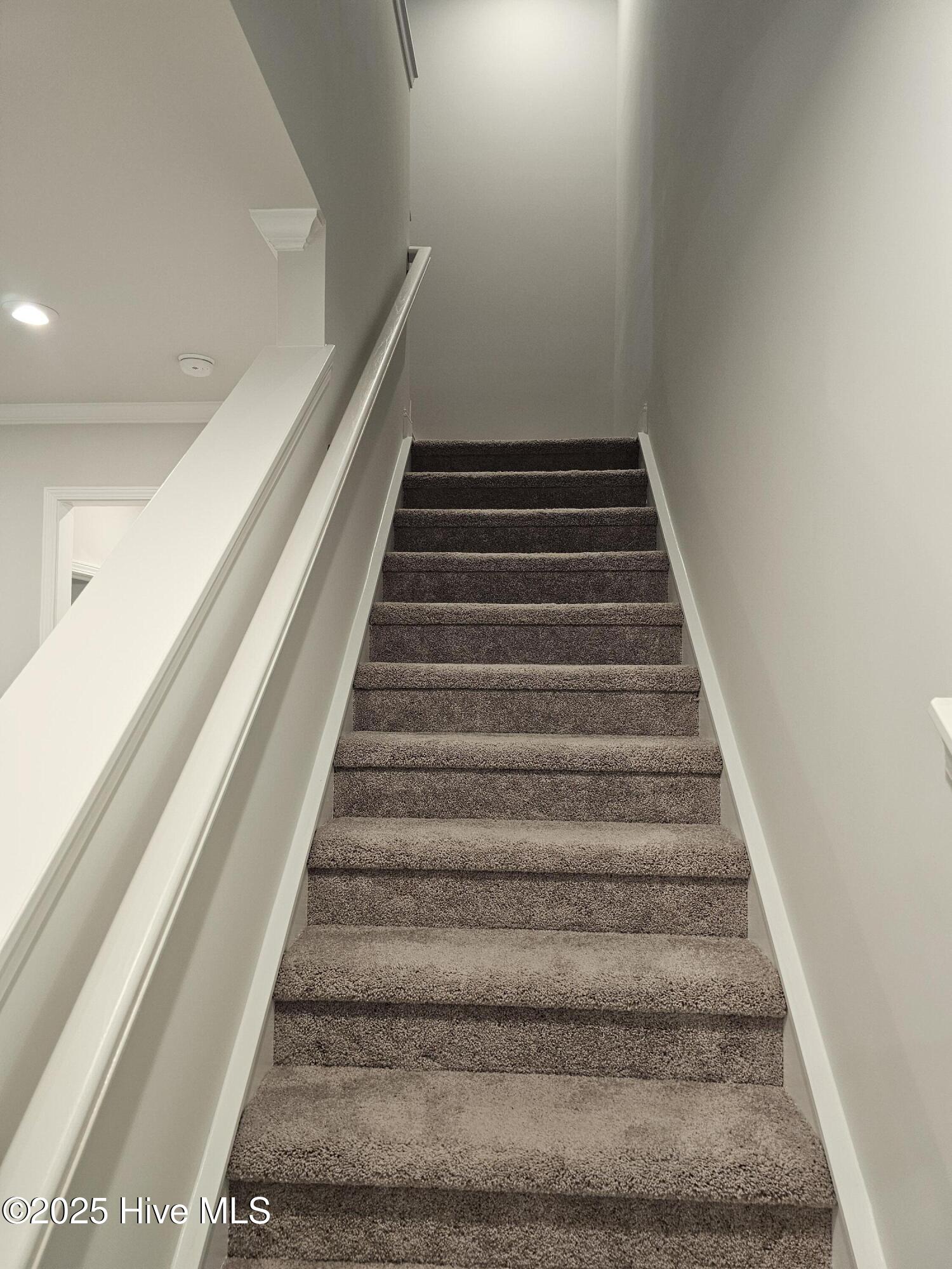 100531272 | Photo 14