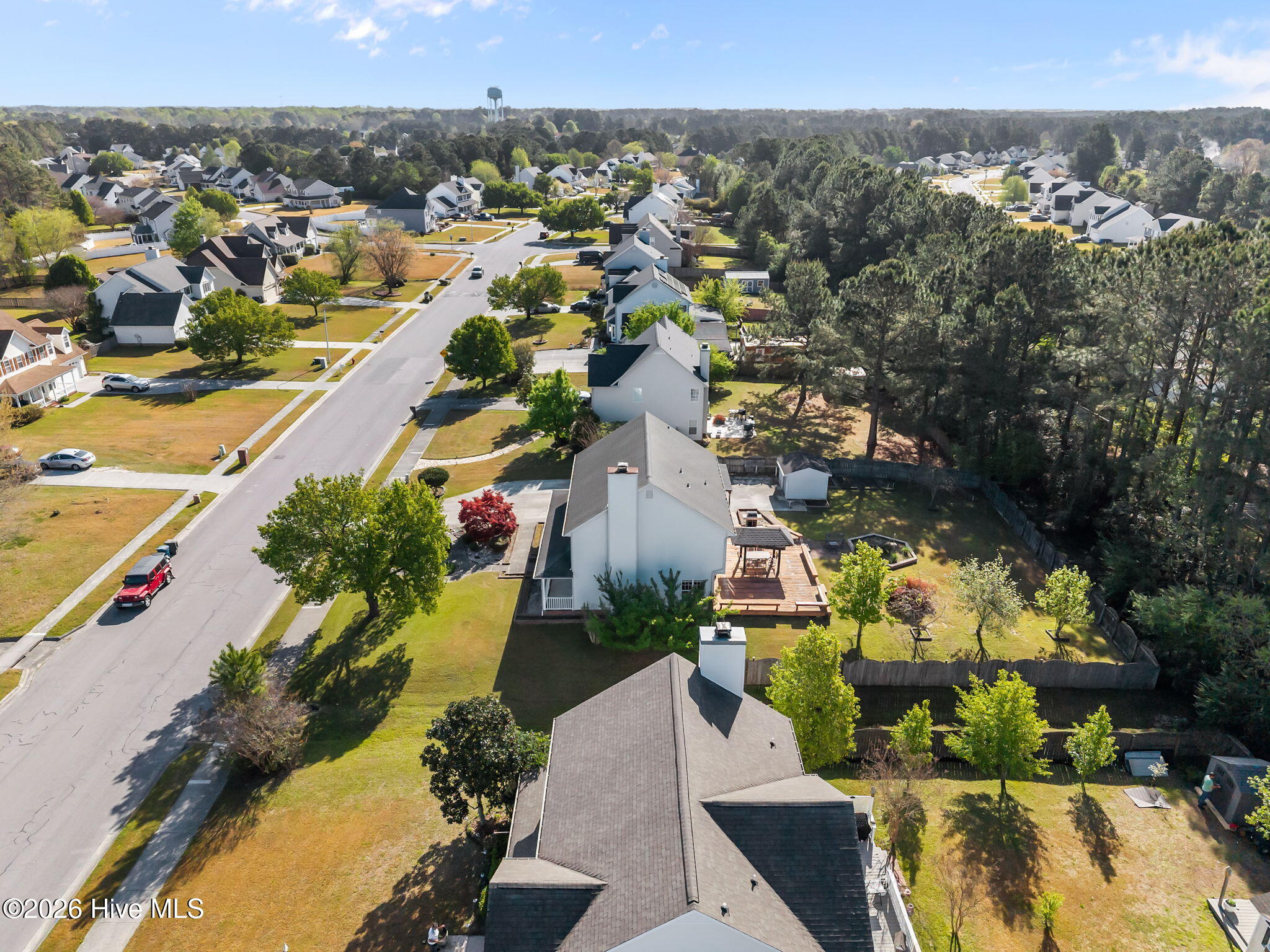 100565135 | Photo 44