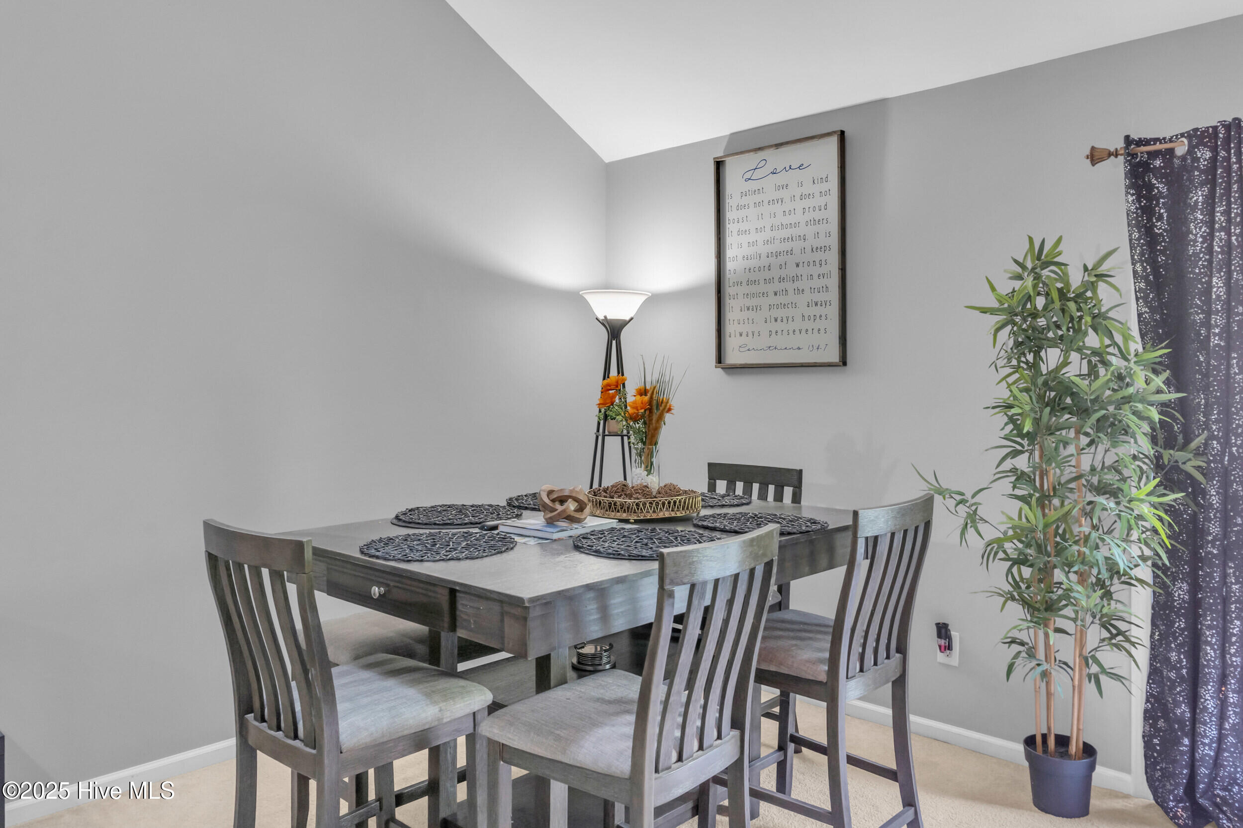 100527386 | Photo 12