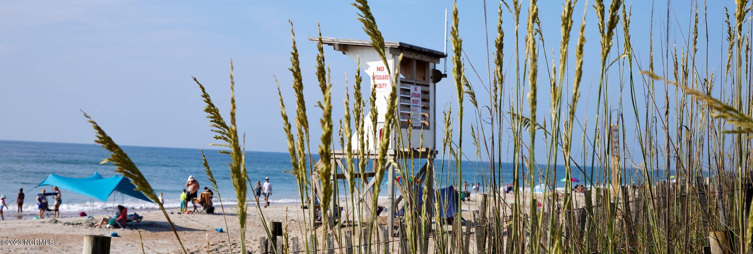 100546051 | Photo 25