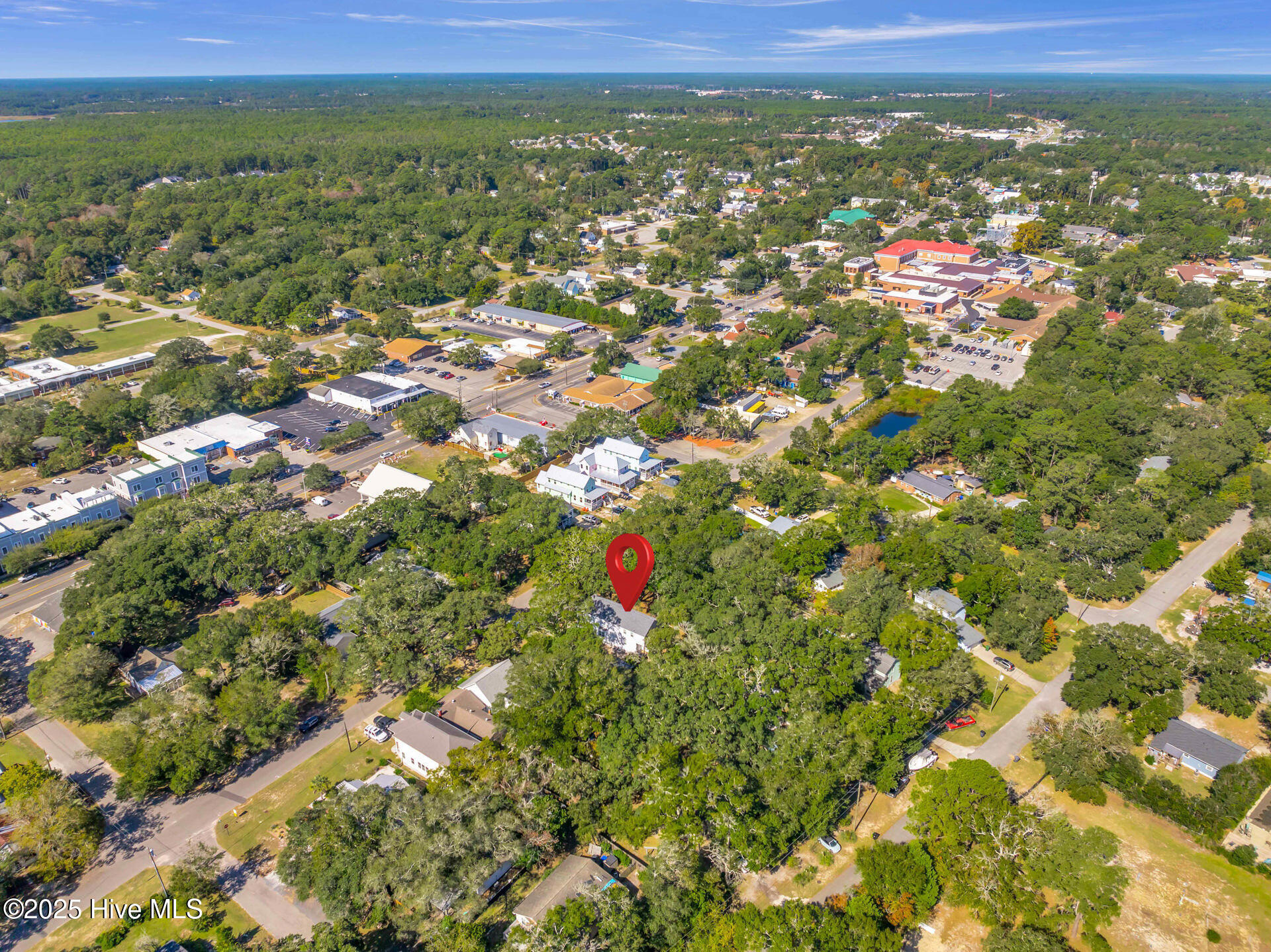 100538274 | Photo 49