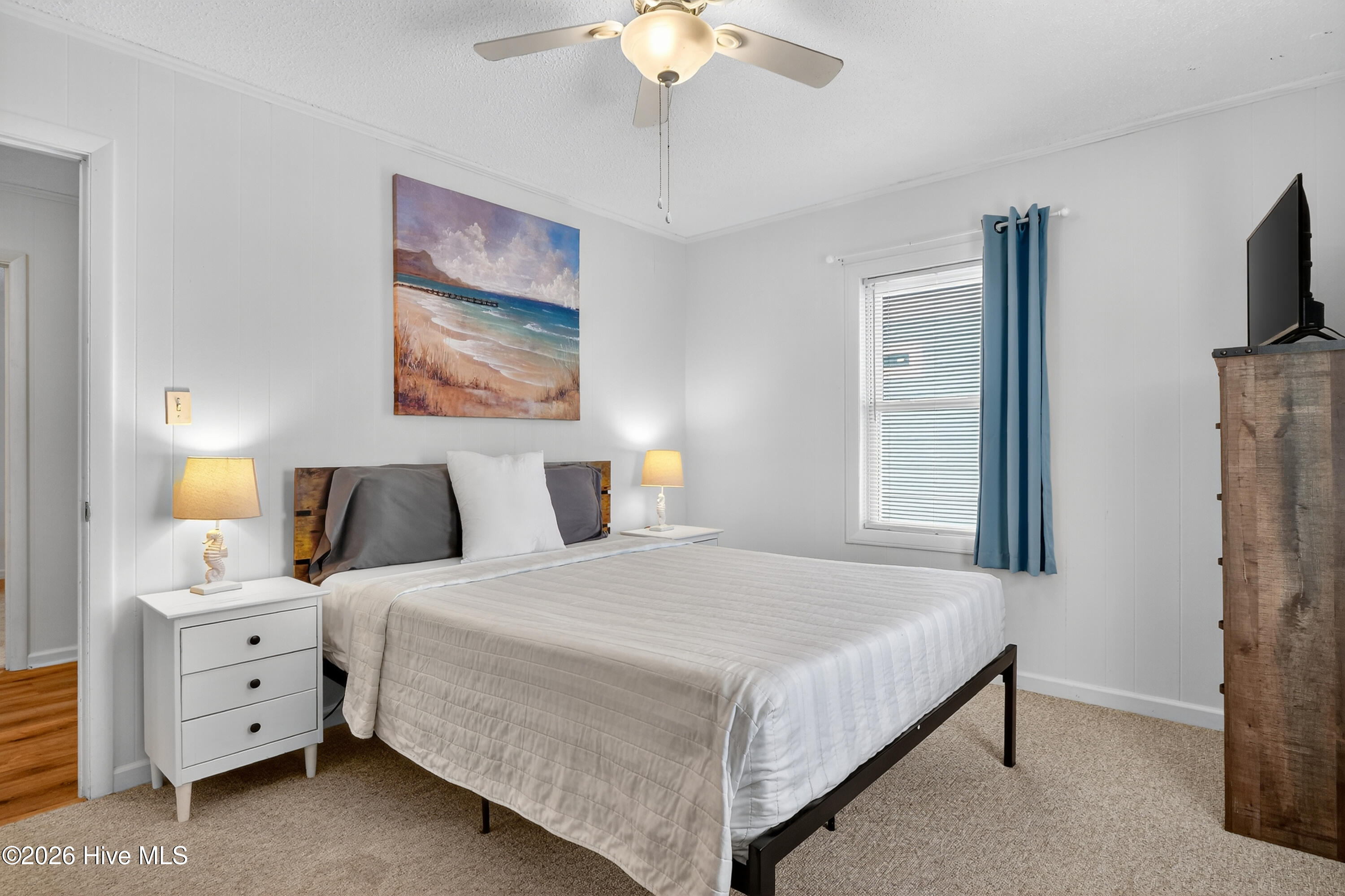 100558855 | Photo 12