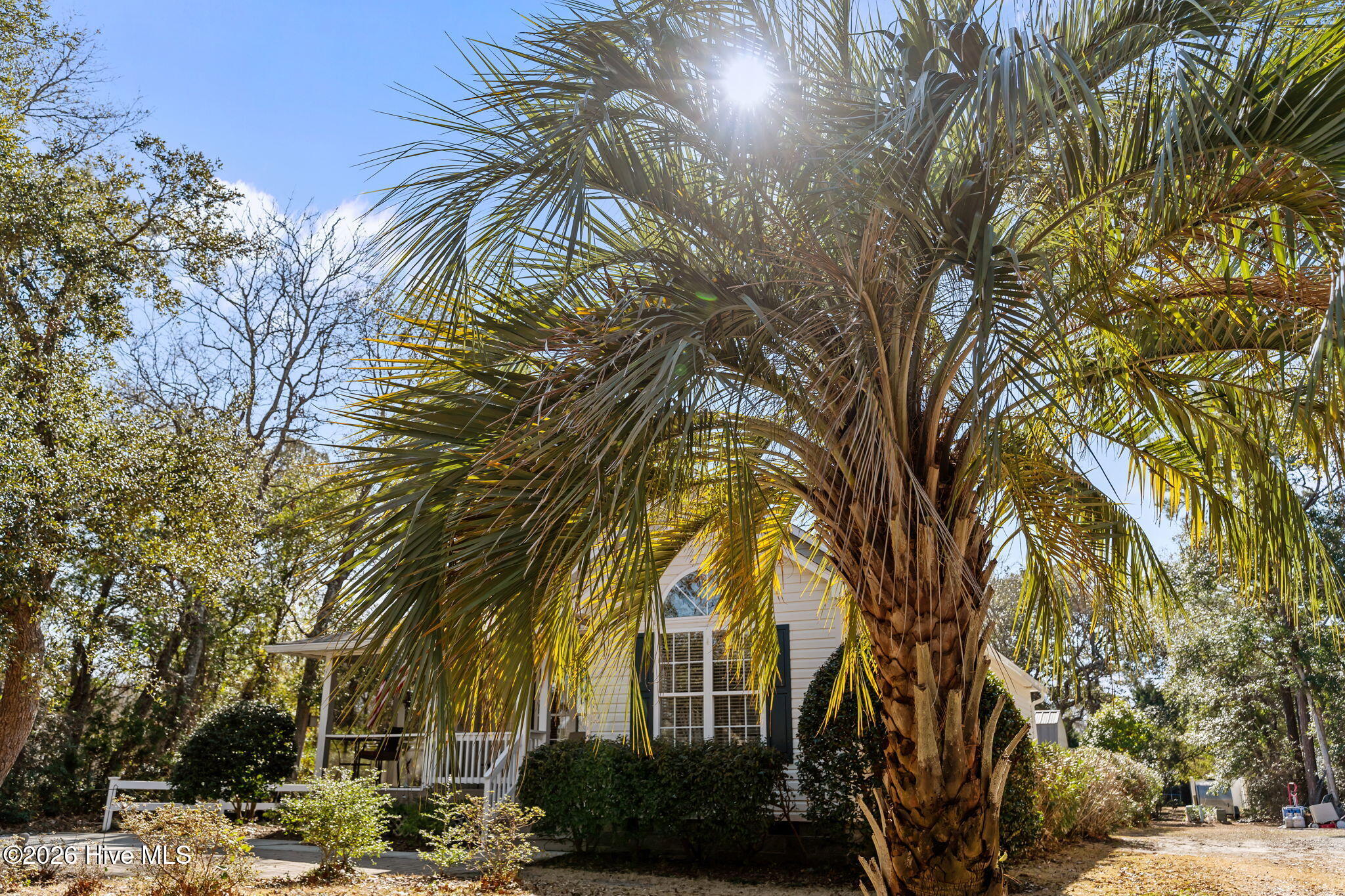 100546550 | Photo 41