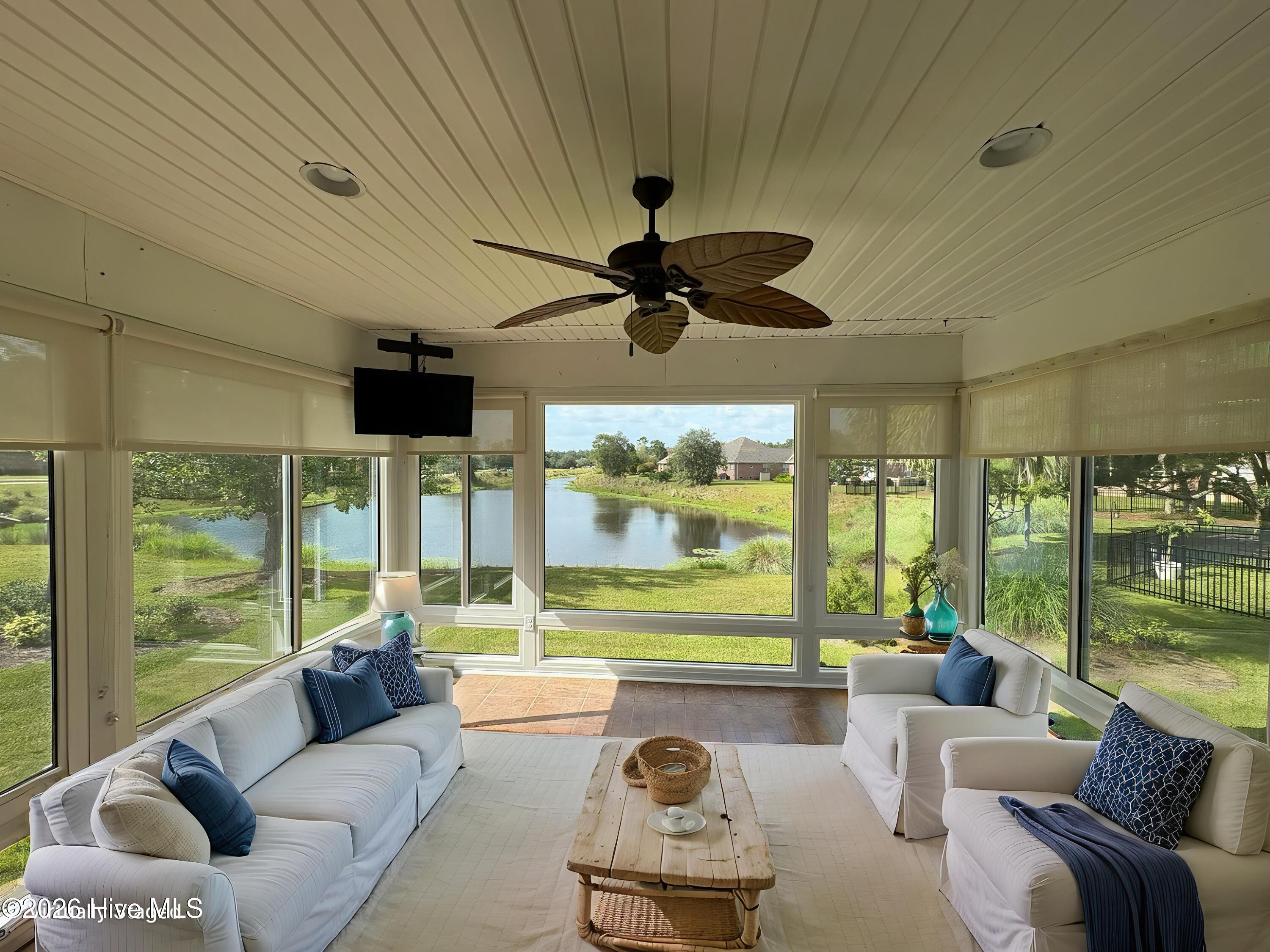 100558874 | Photo 16