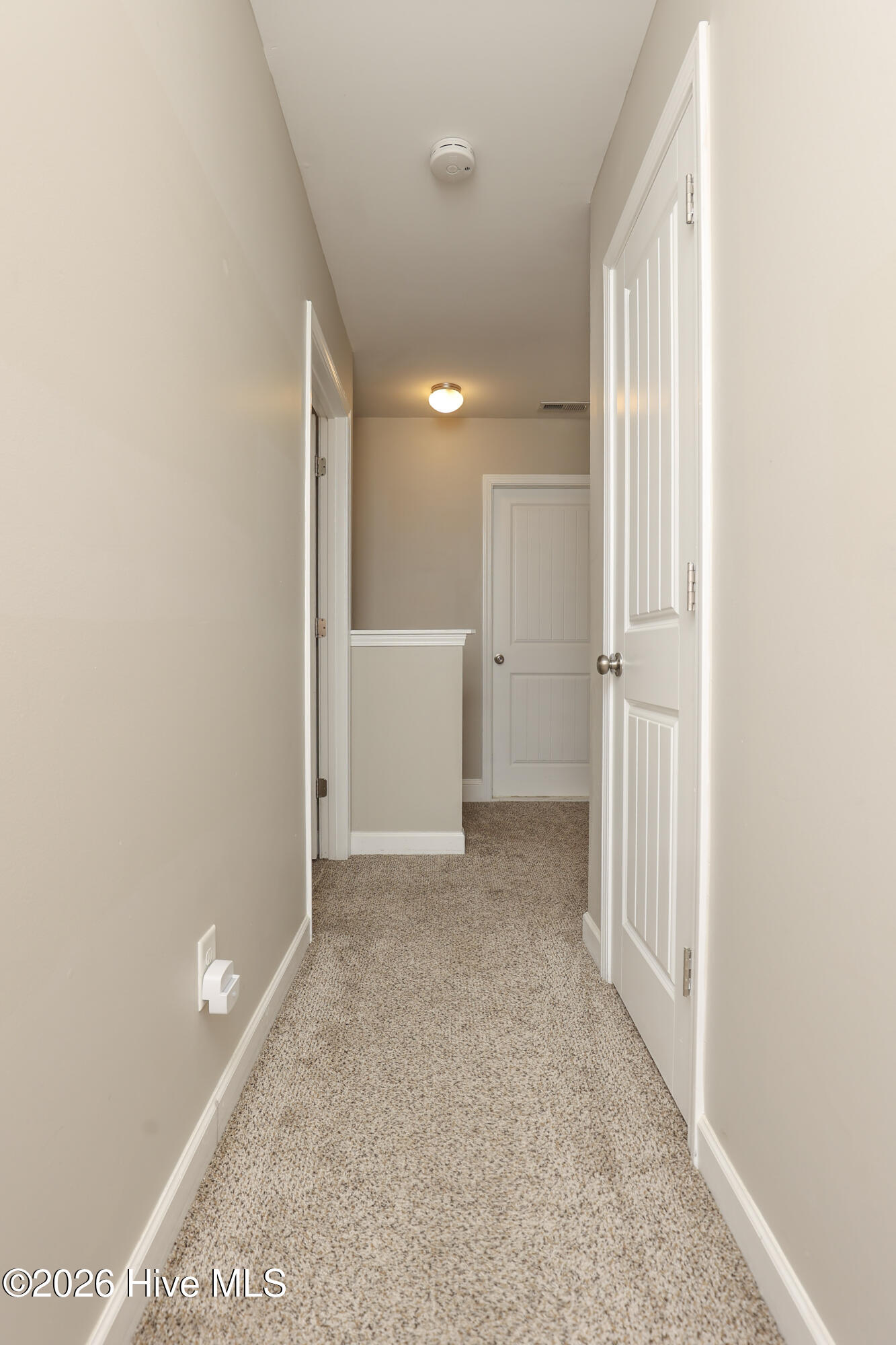 106 Blueberry Fields Road, Maple Hill, NC 28454 – photo 24: 229A1705