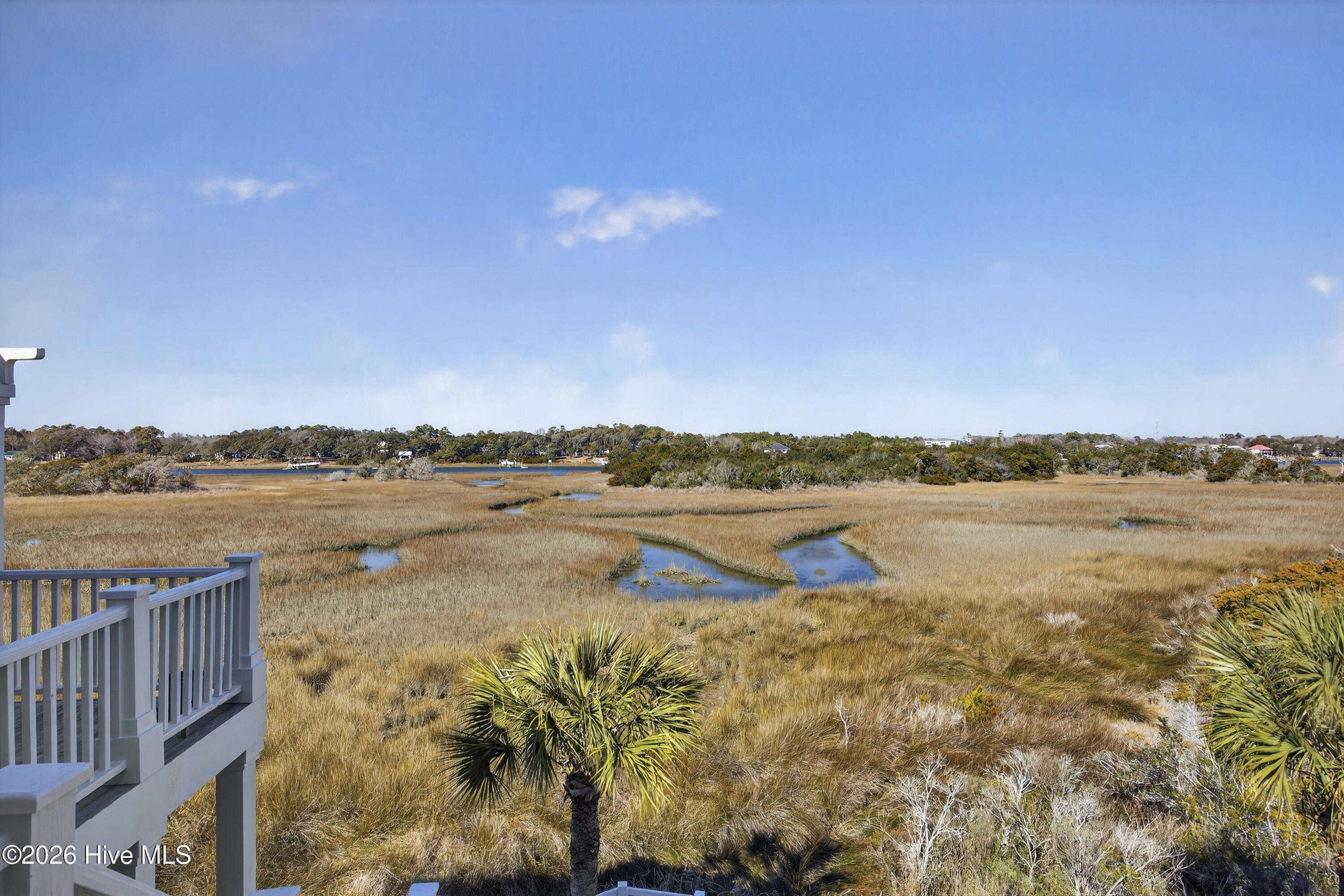 100554981 | Photo 22