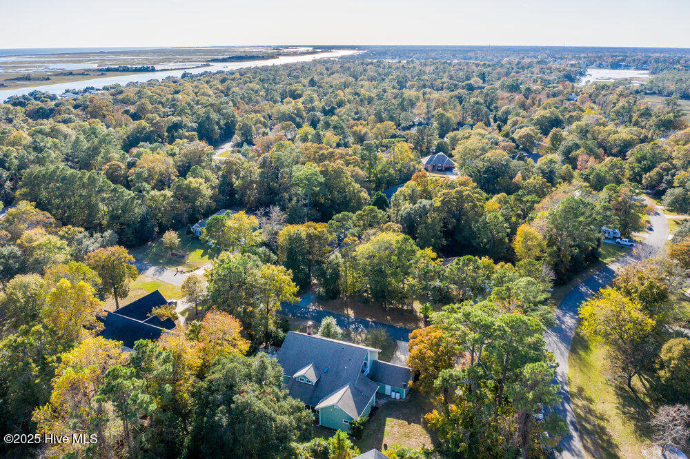 100542503 | Photo 54