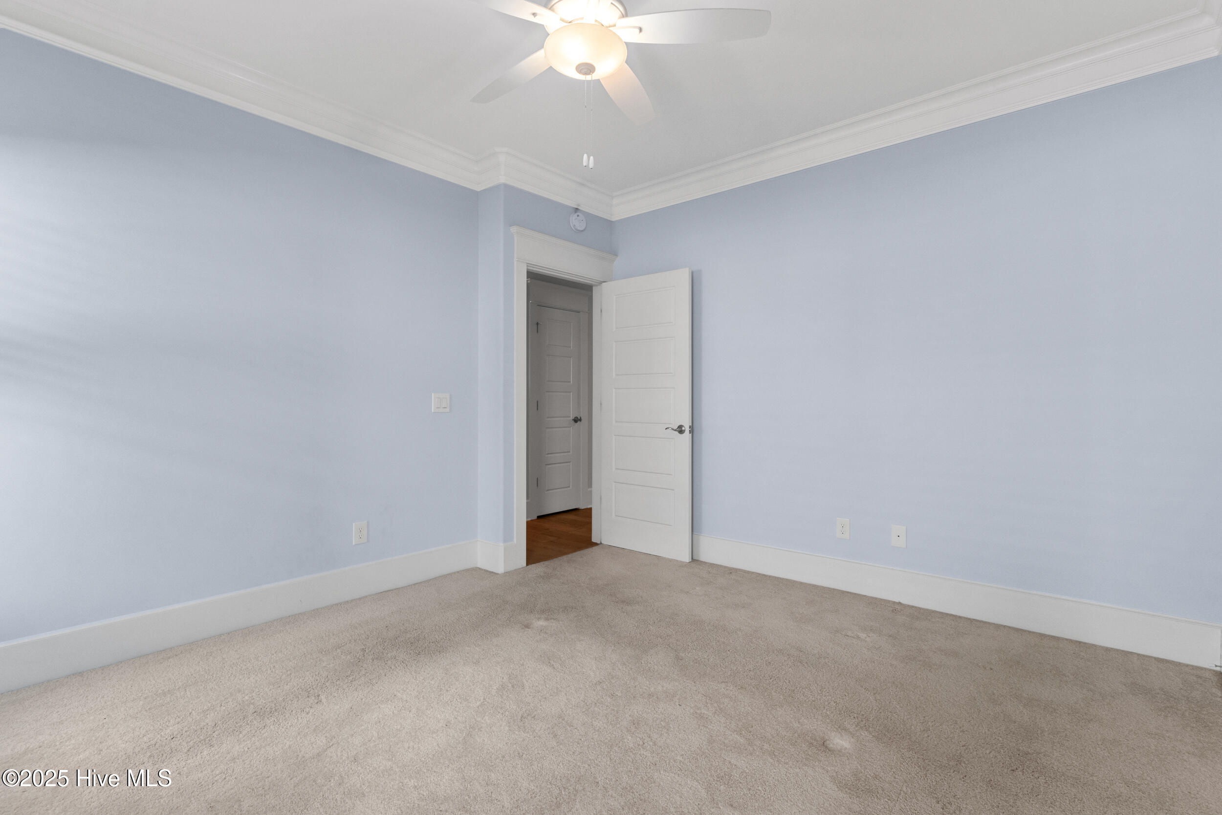 100541270 | Photo 67