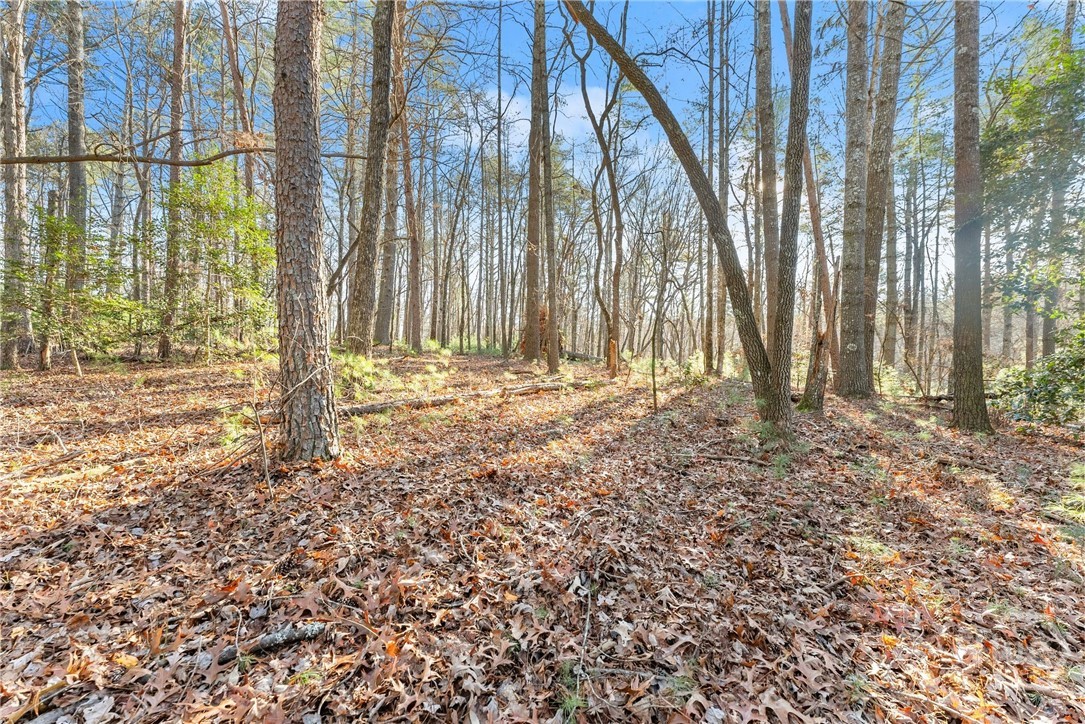 Shoal Creek Tract Habersham County