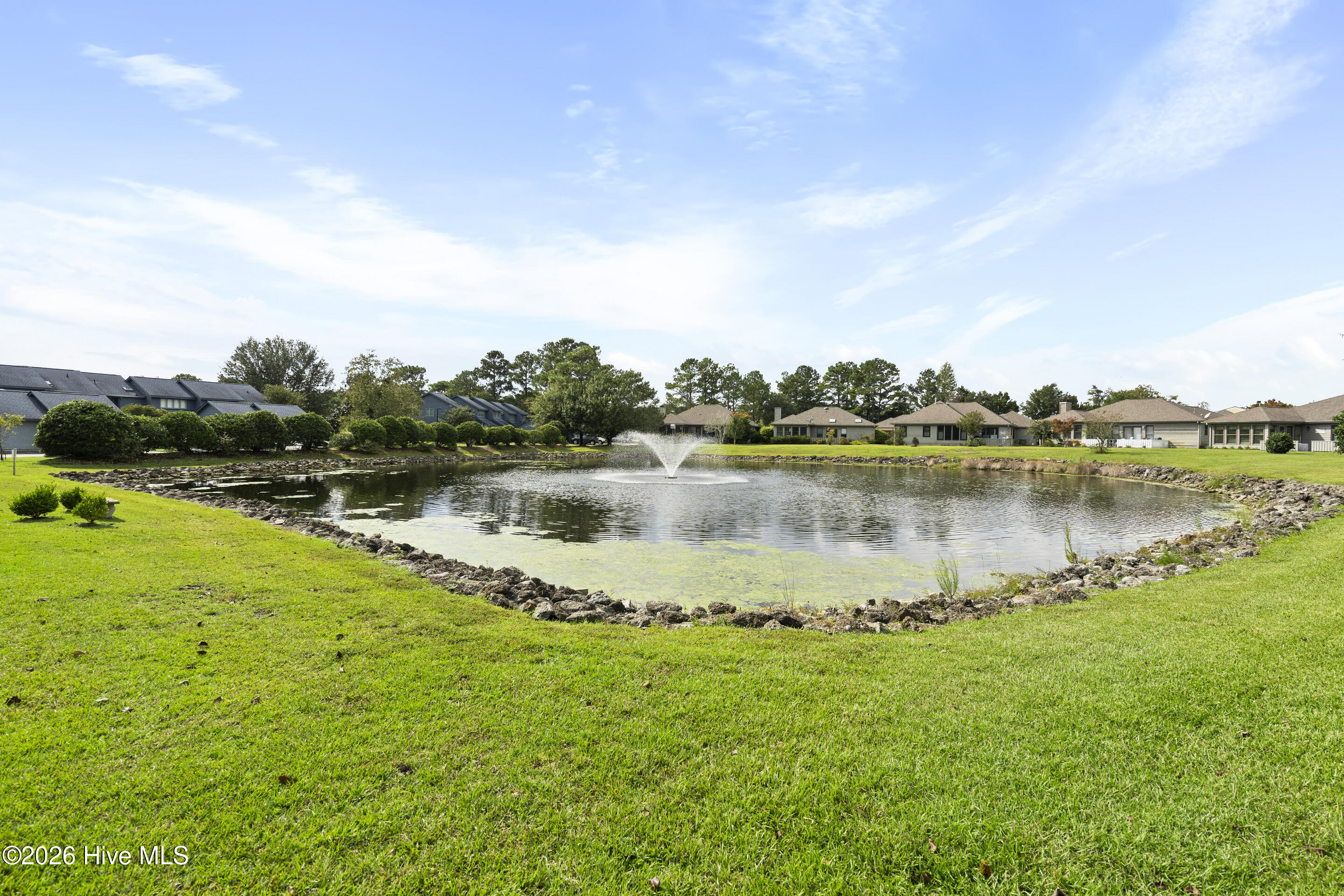 100558644 | Photo 48