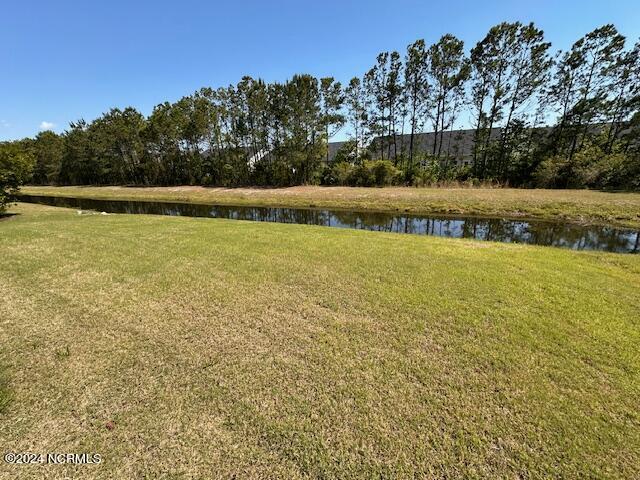 100555479 | Photo 11