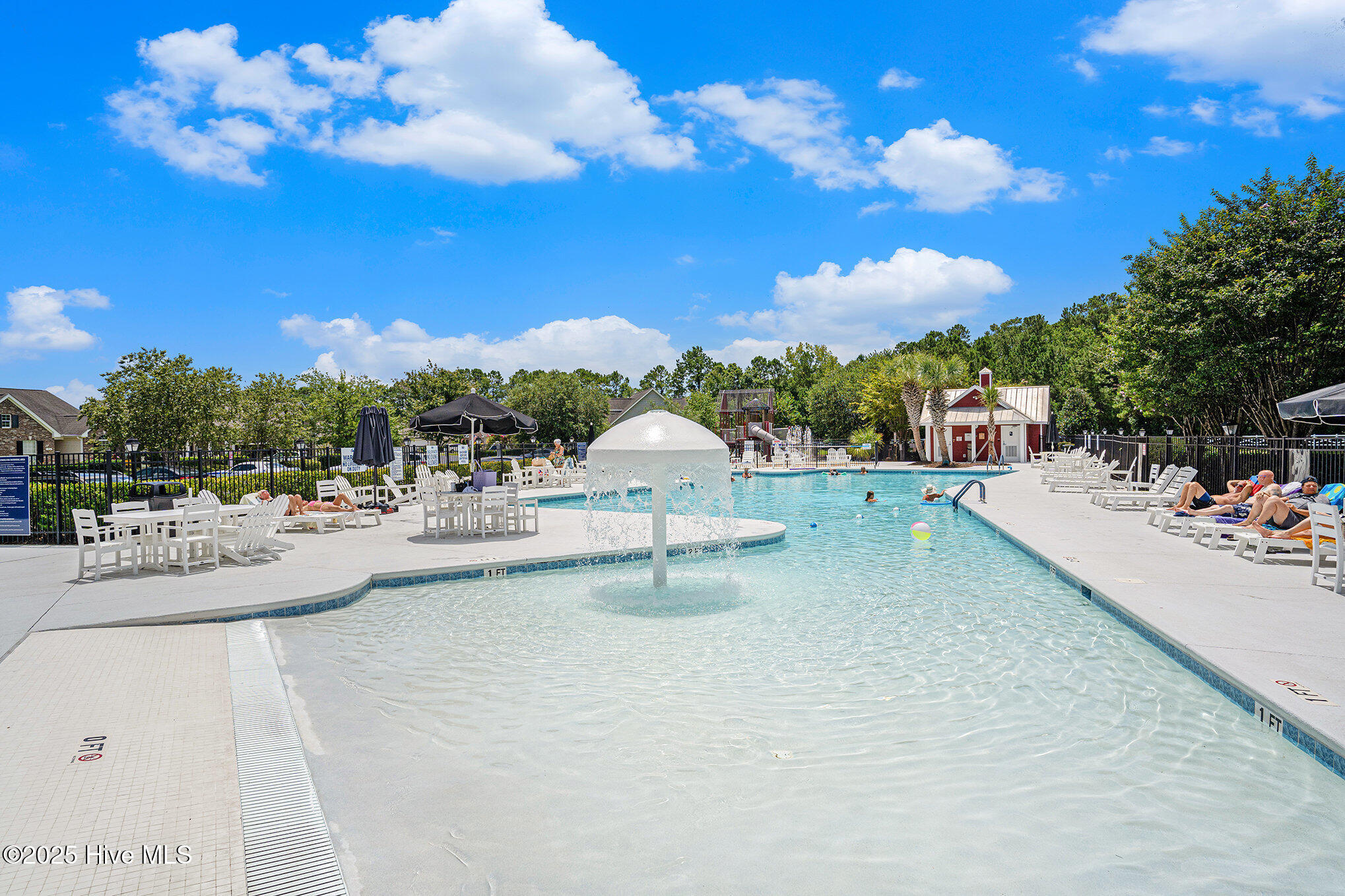 100520247 | Photo 46