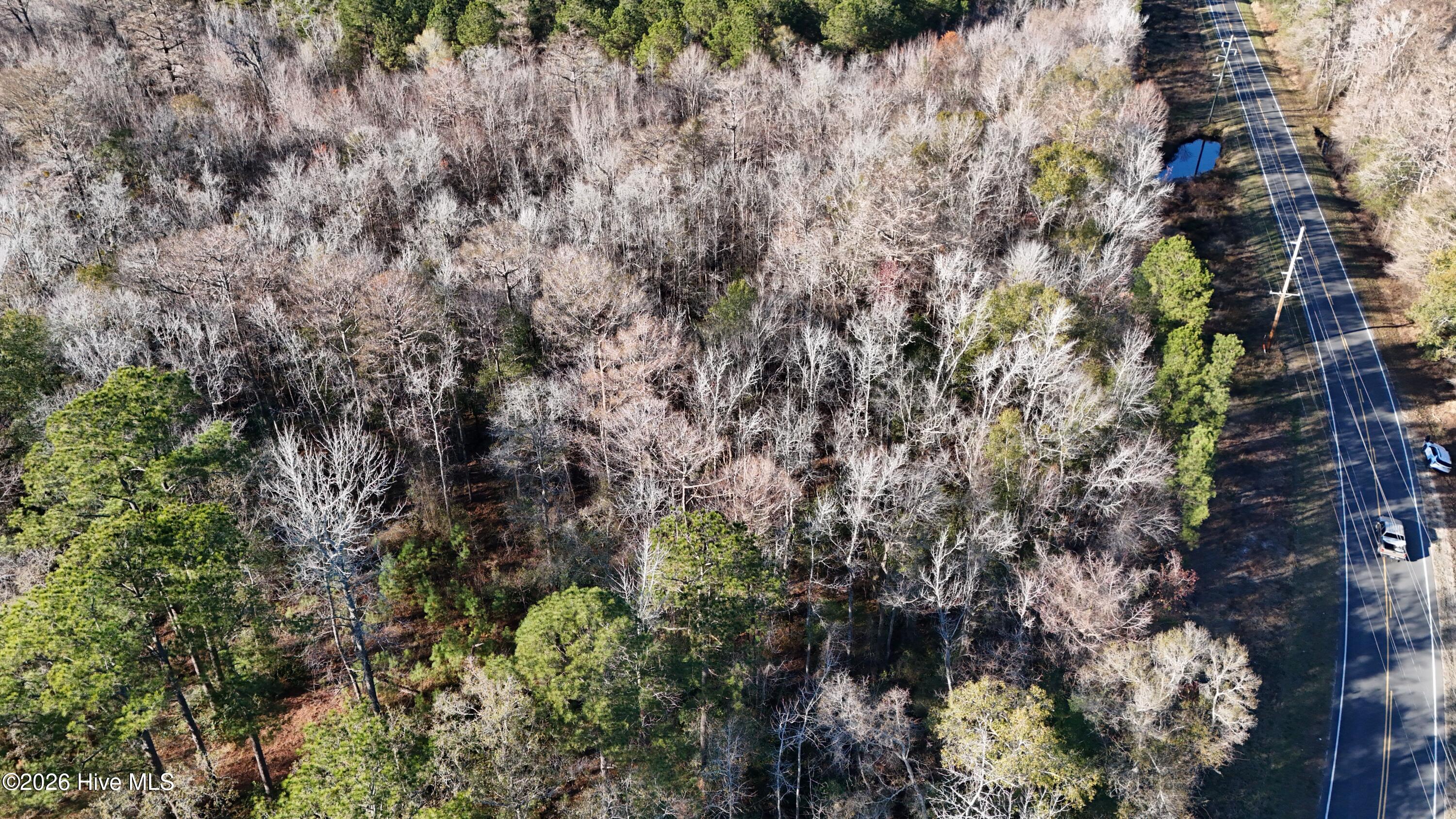 100556794 | Photo 13