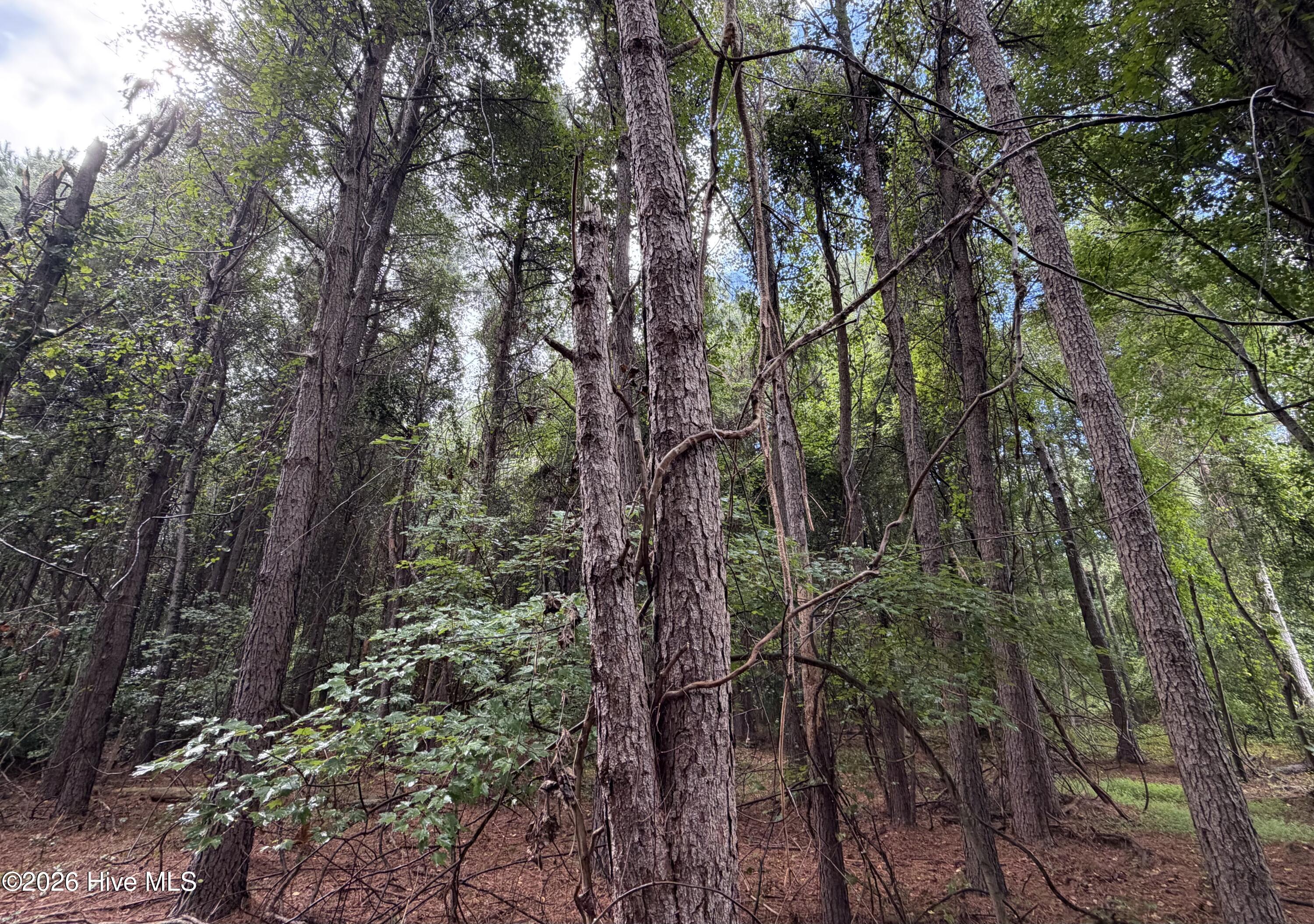 5th image of 0 Mills Rd, Goldsboro, NC 27530 | MLS# 100596094