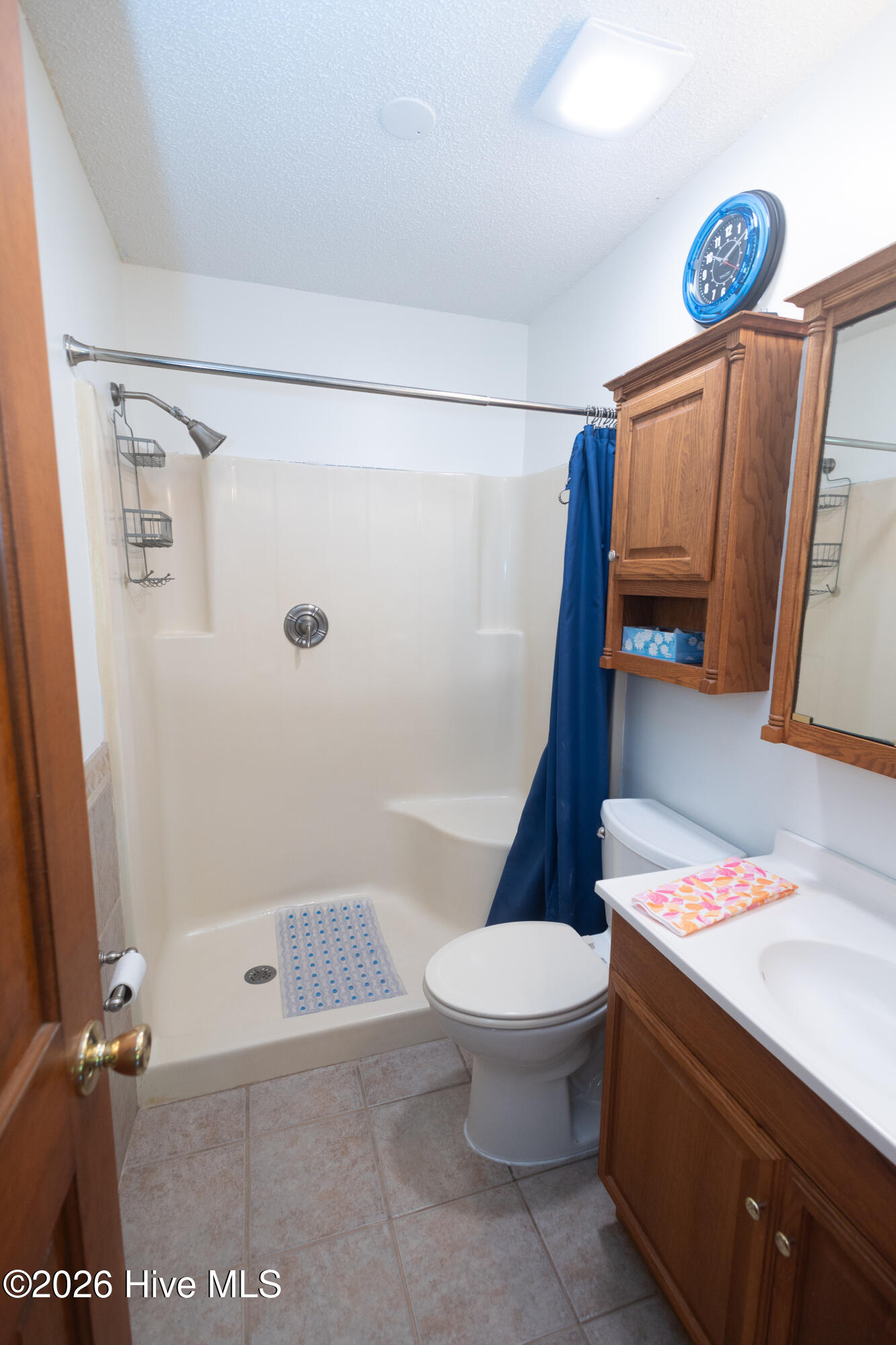 100569275 | Photo 15