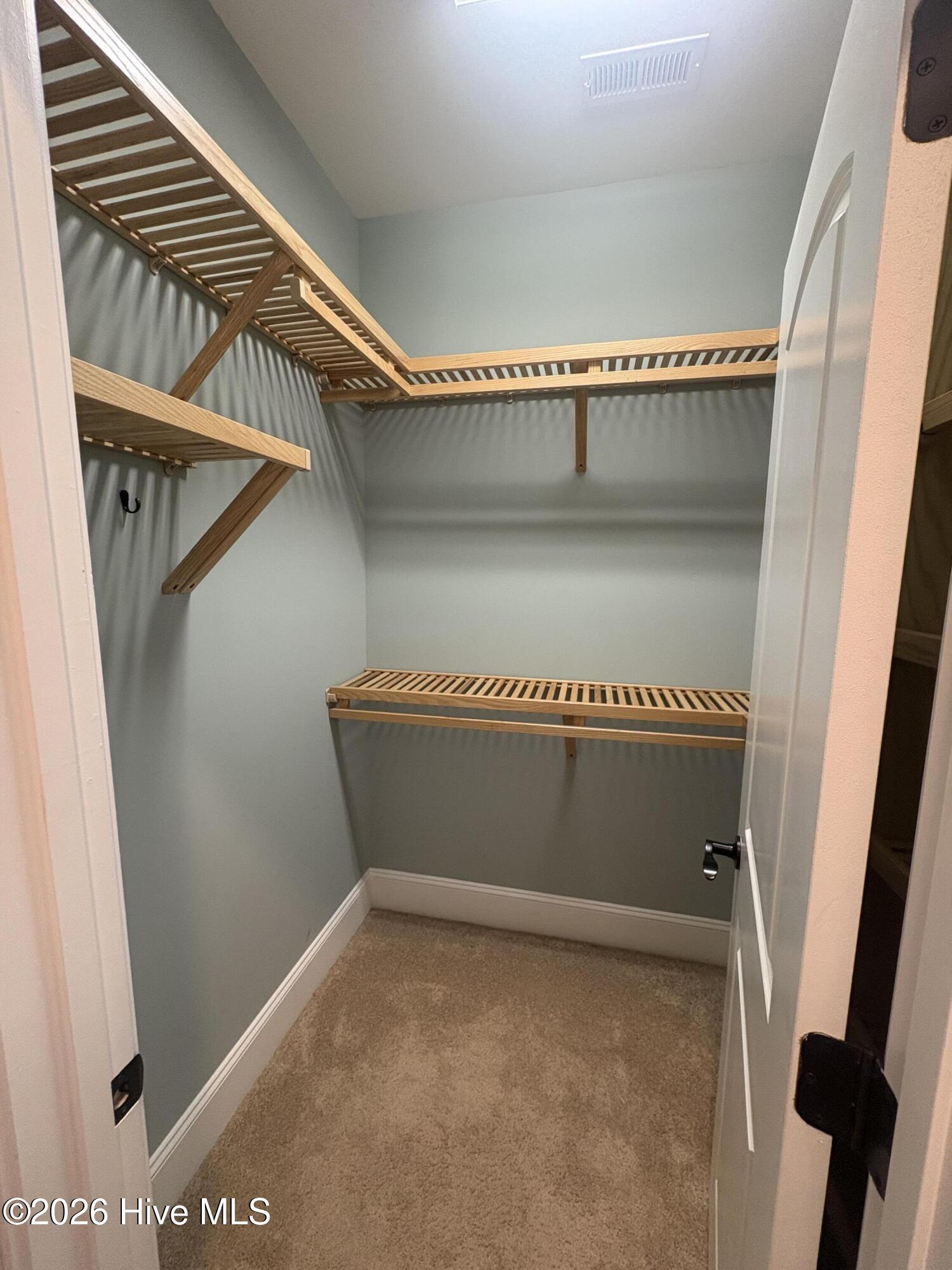 walk in closet #1