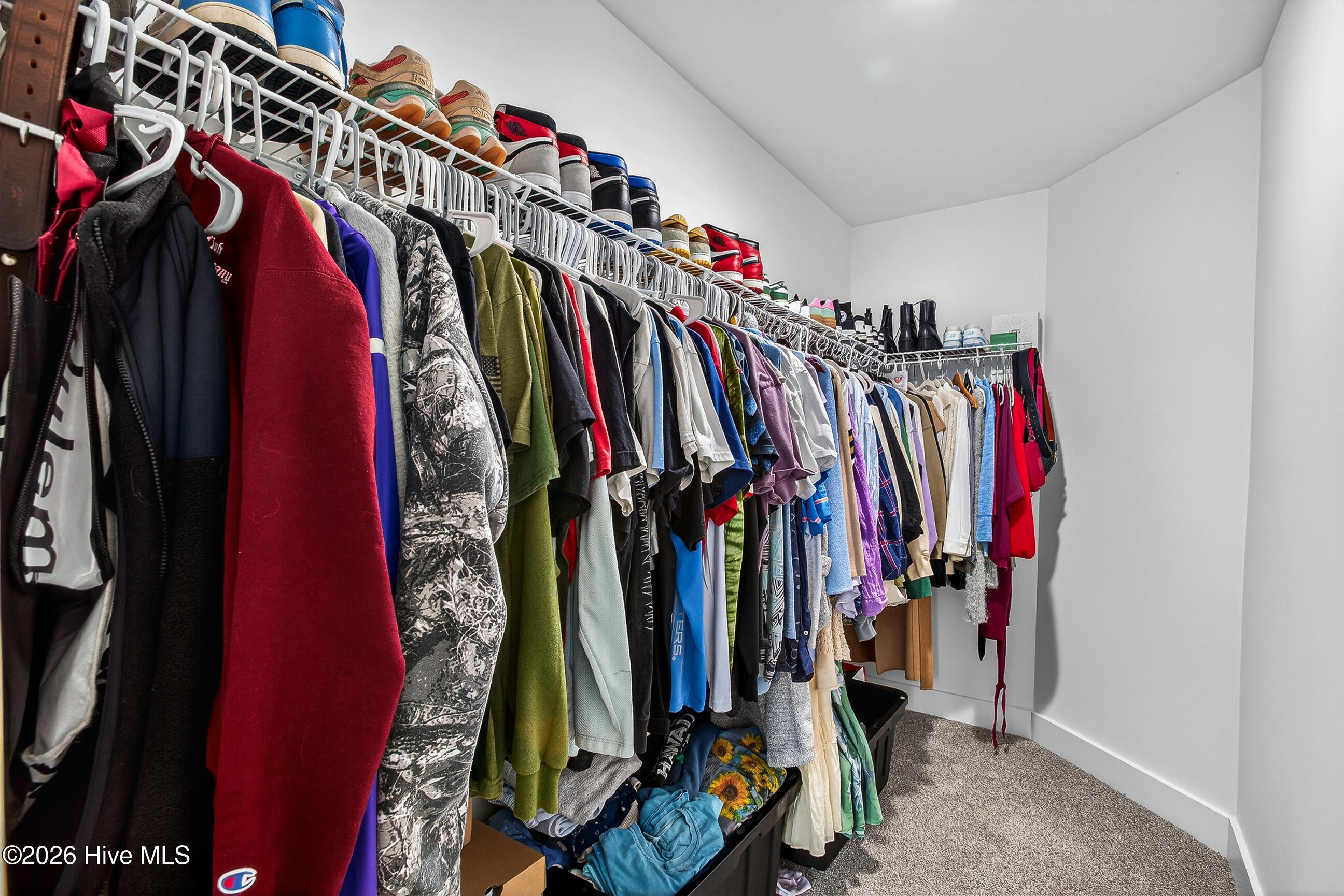 100559668 | Photo 20