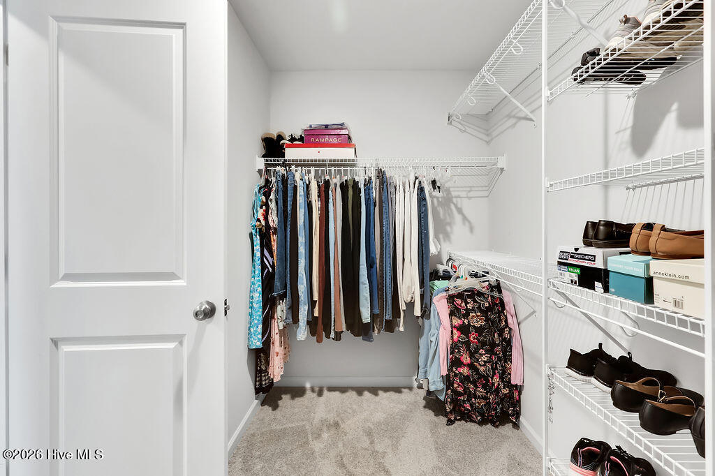 100555659 | Photo 25