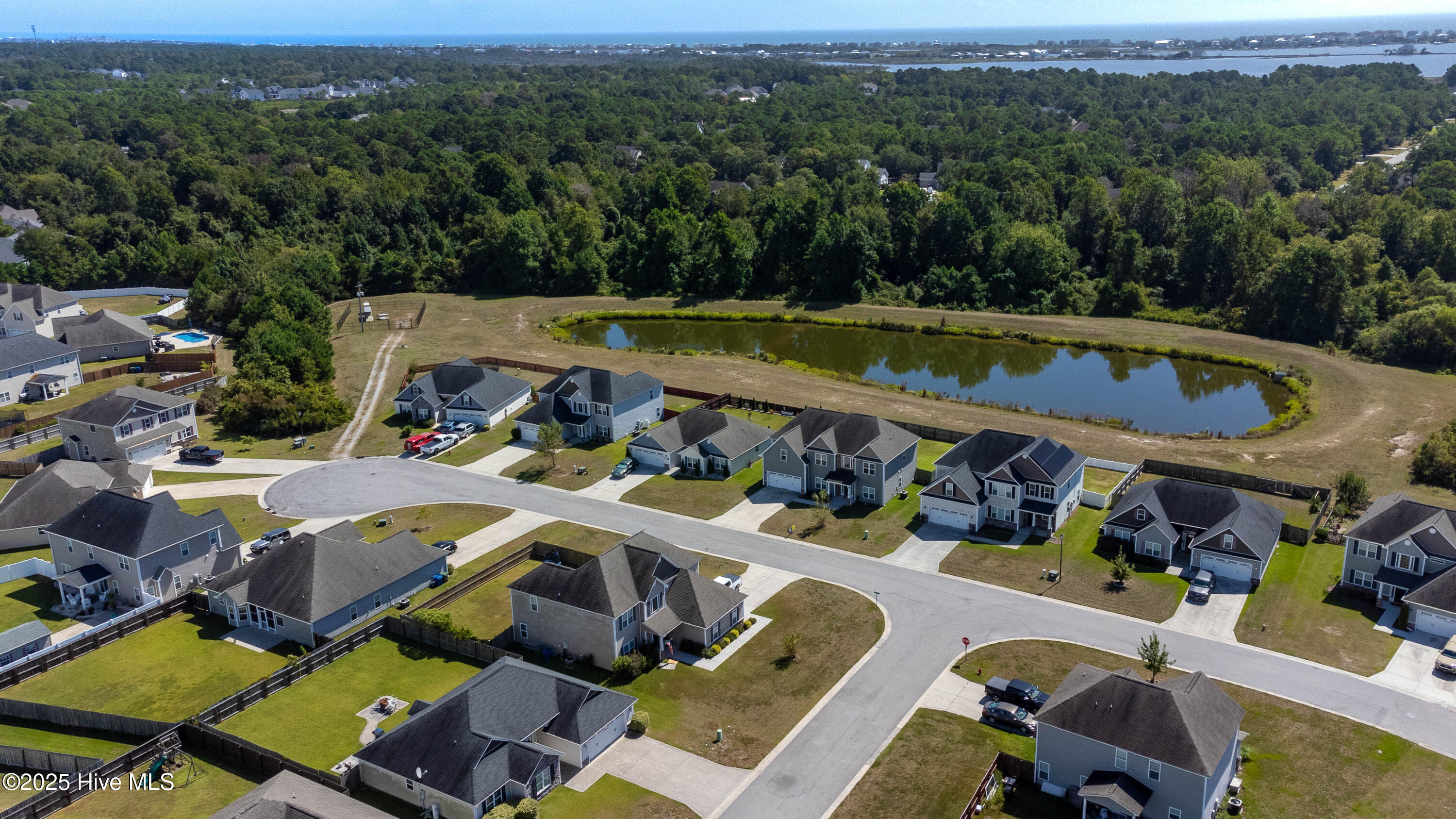 100528523 | Photo 49