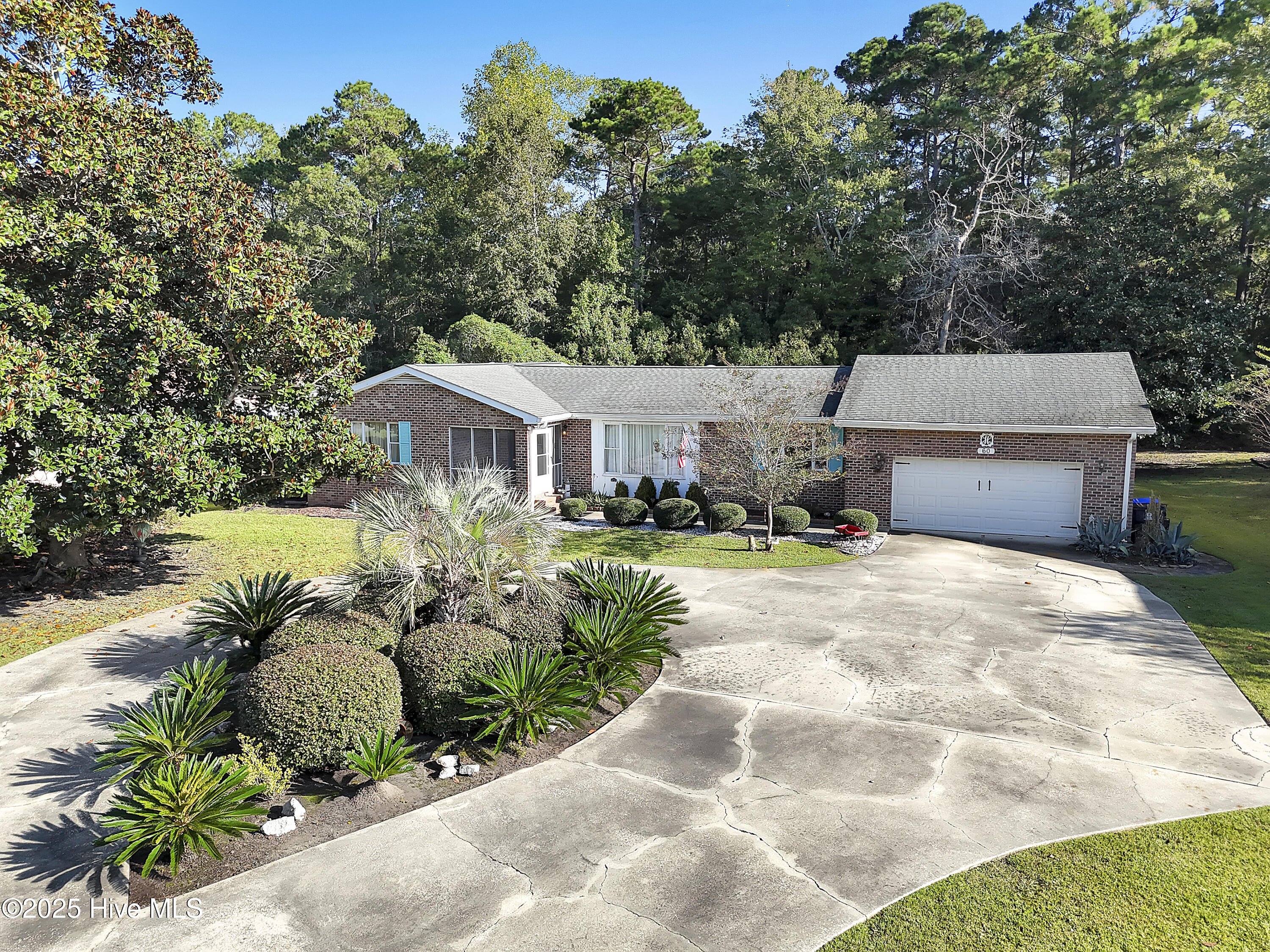 100536846 | Photo 62