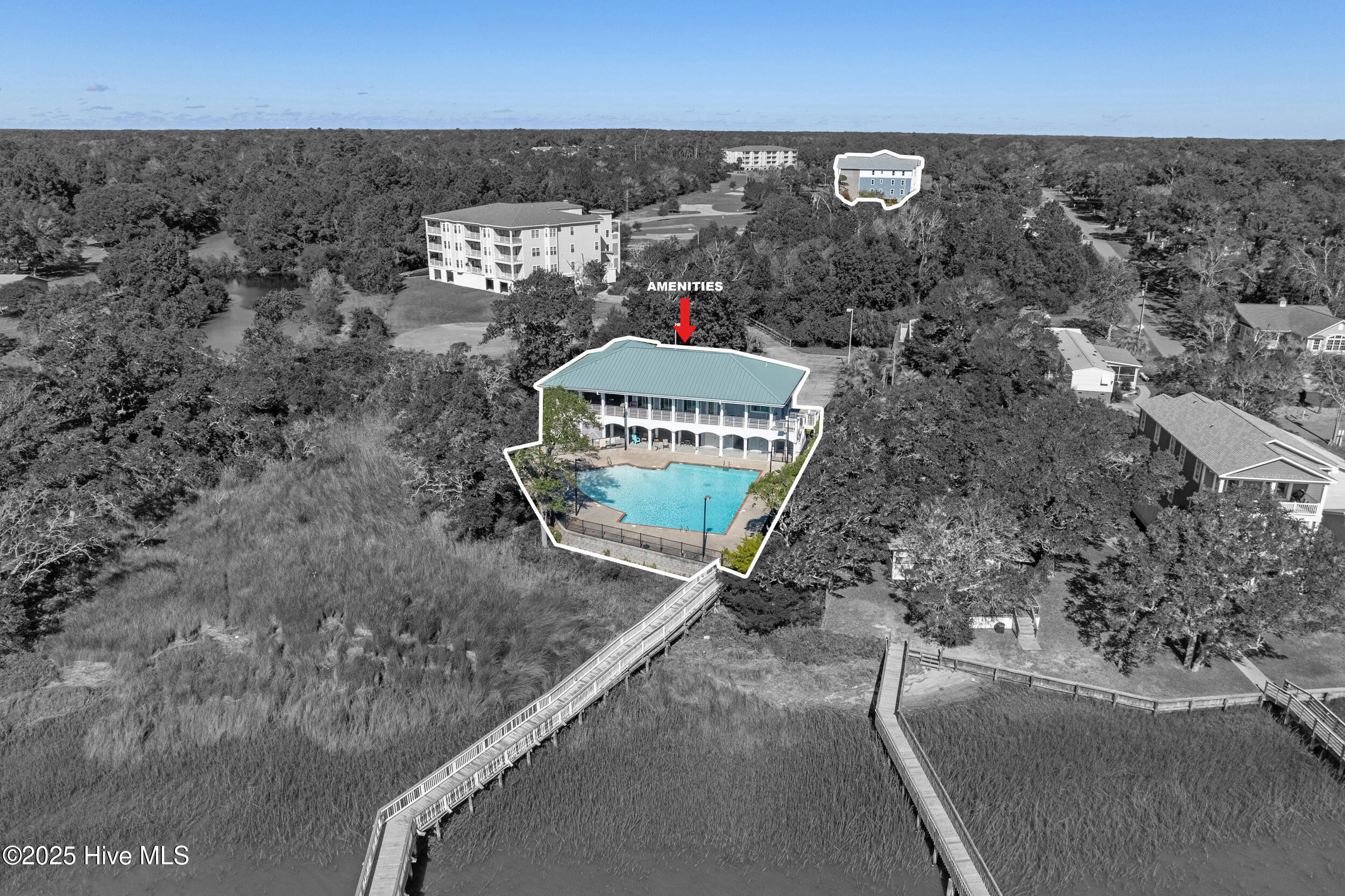 100539009 | Photo 47