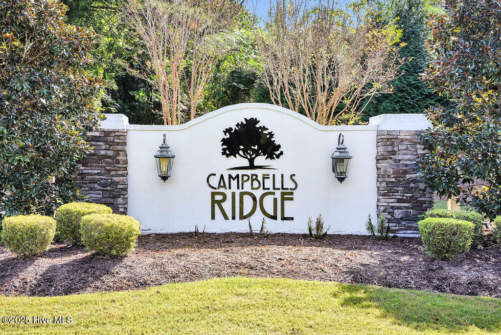 100535905 | Photo 48