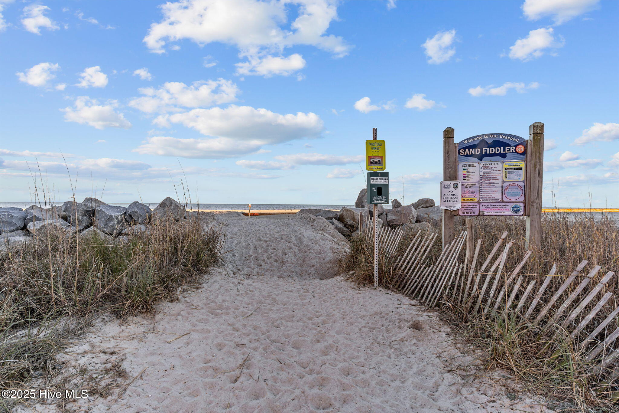 100534887 | Photo 46